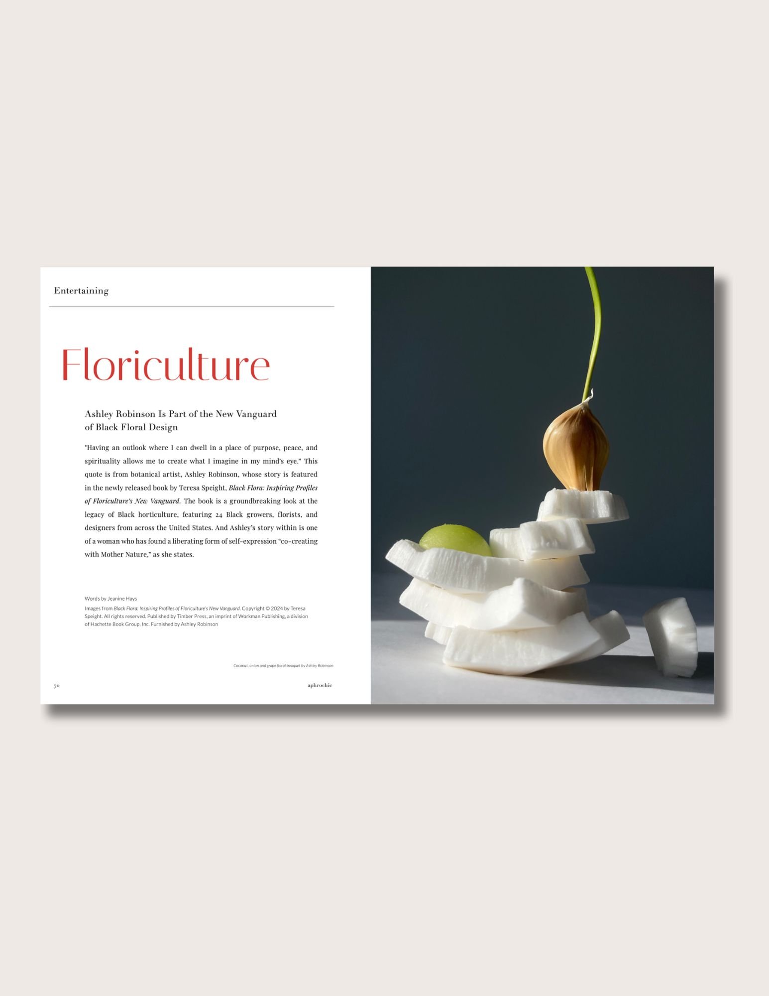 issue 19 spread art 3.jpg