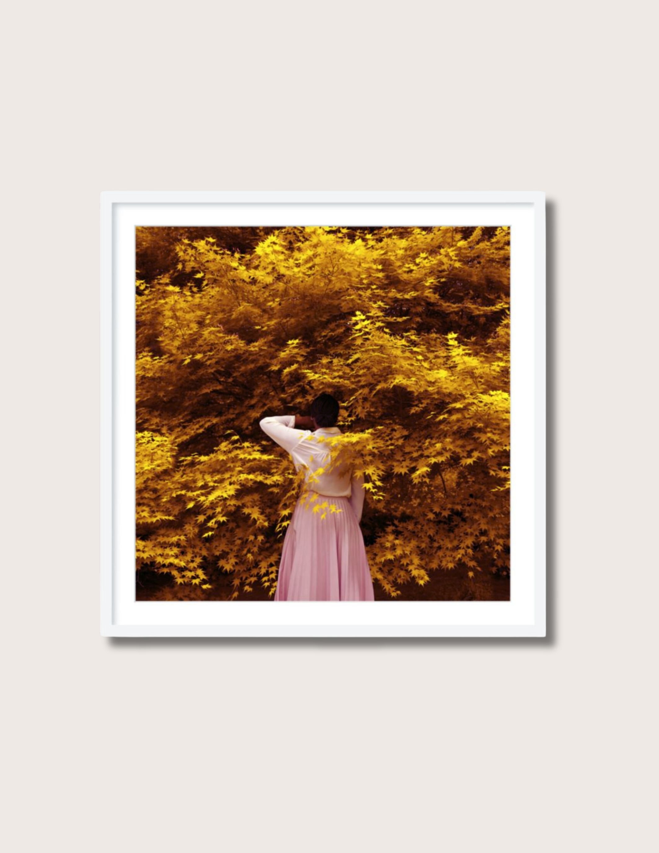 playing among the stars_white frame.jpg