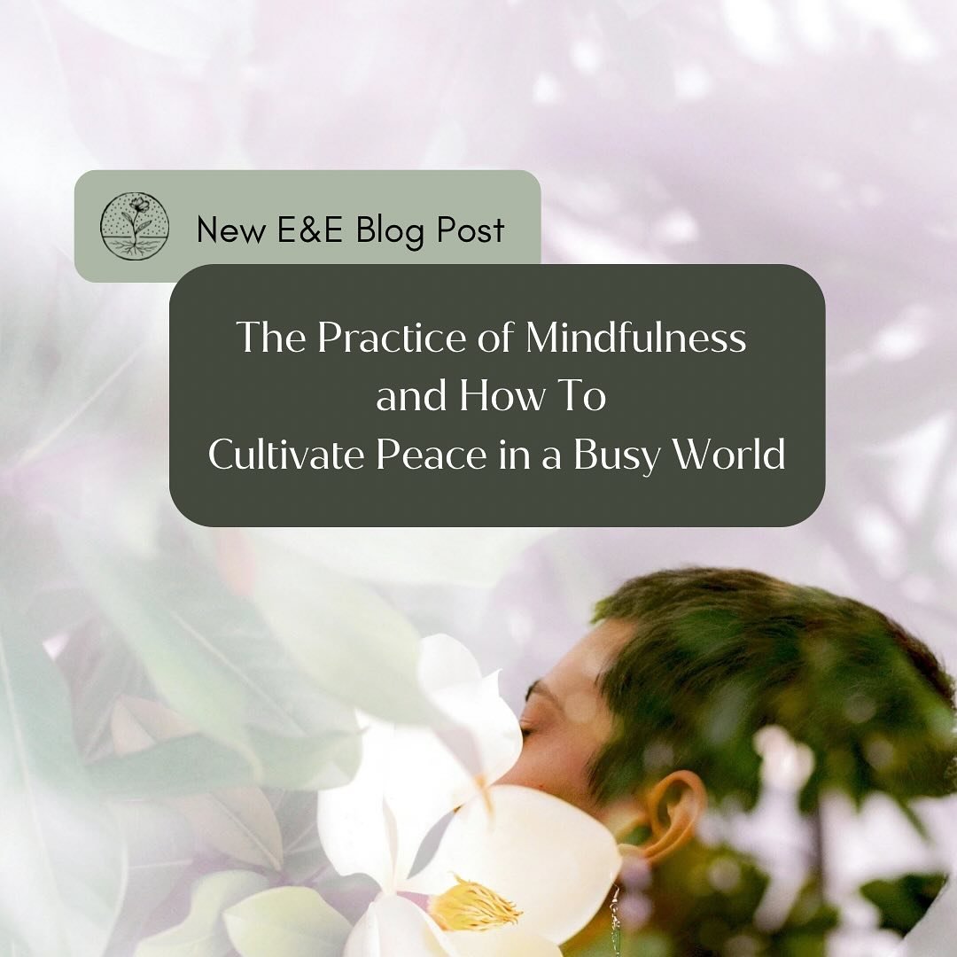 What do you think of when you hear someone talk about mindfulness? Today on the blog we breakdown the purpose of mindfulness and the different ways you can practice it!

Check out the link in our bio to read more!