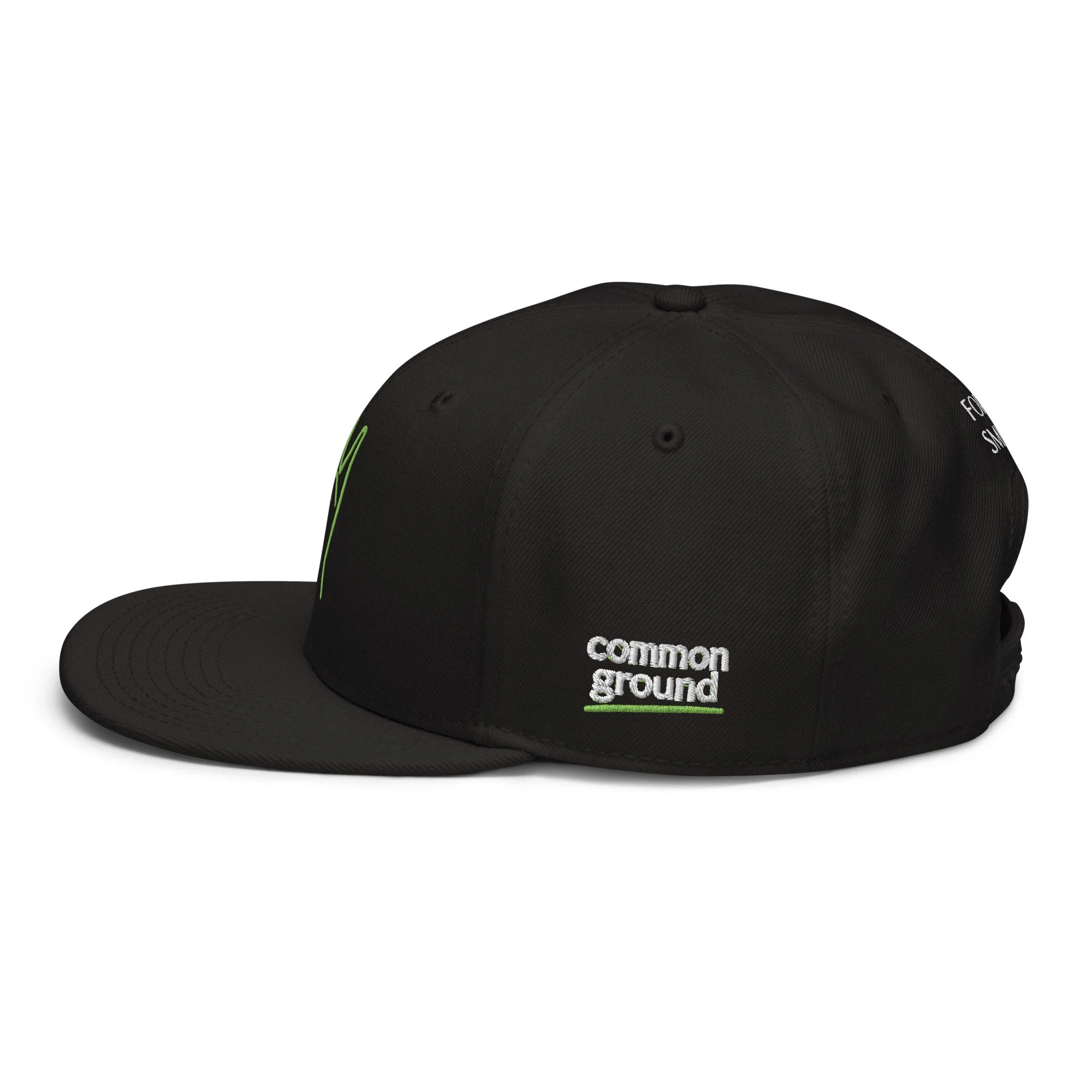 snapback-black-left-side-69f4c196df45f.jpg