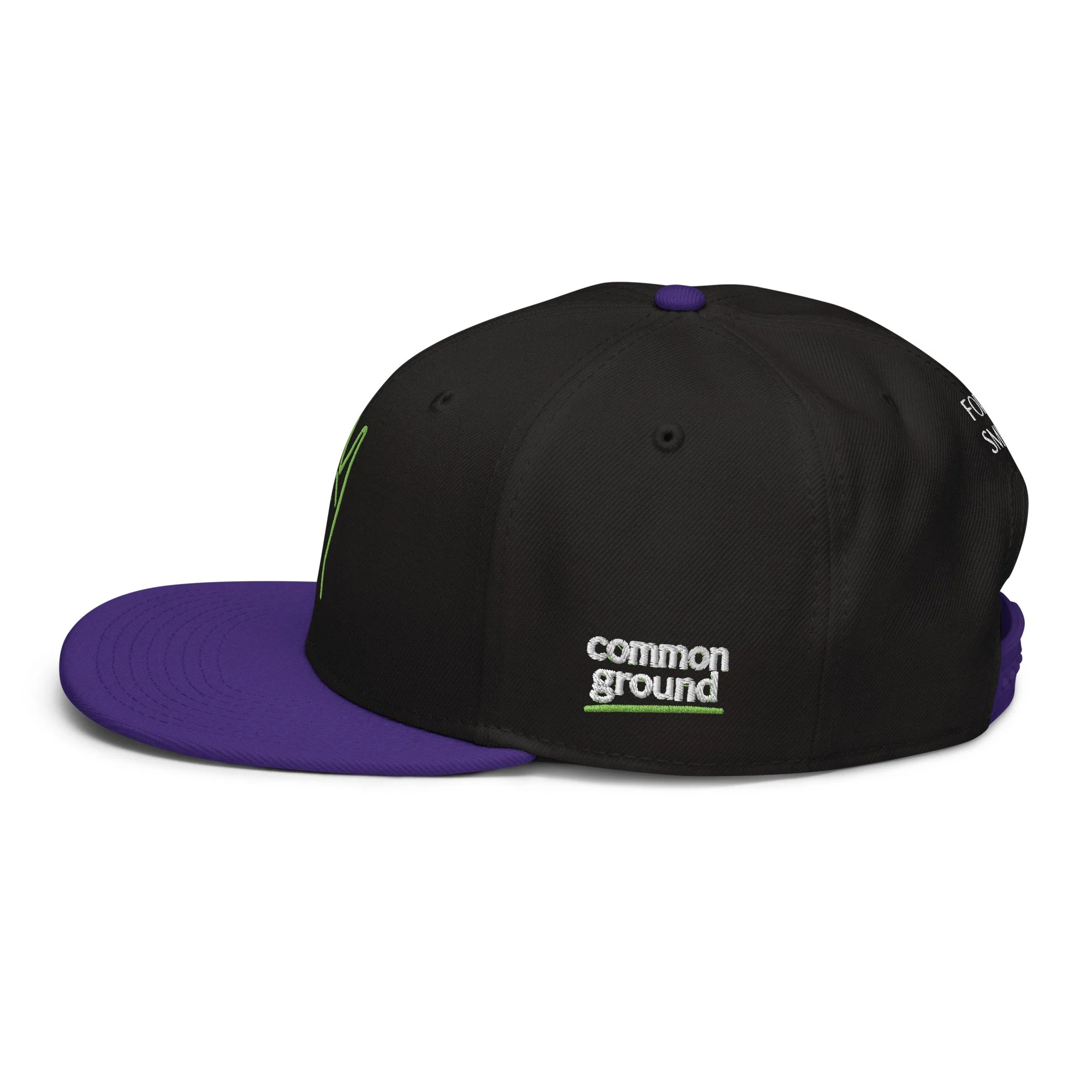 snapback-purple-black-black-left-side-69f4c196df8d9.jpg