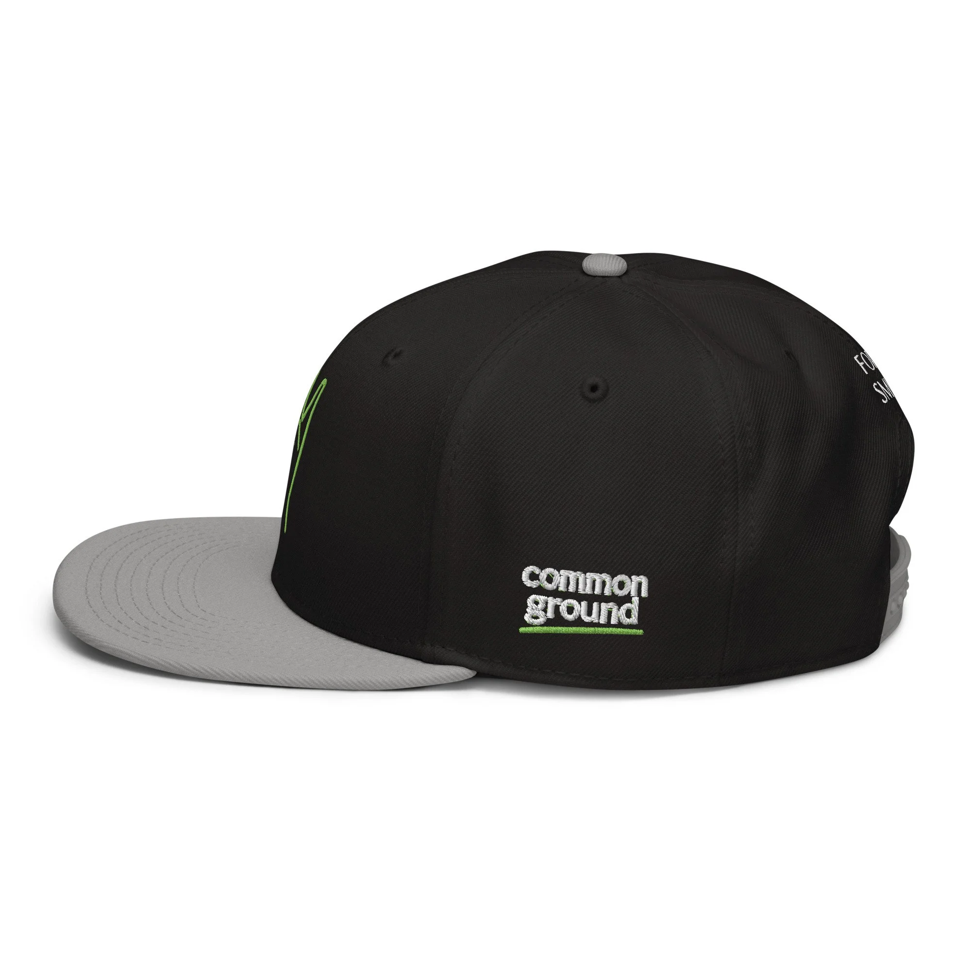 snapback-gray-black-black-left-side-69f4c196df789.jpg