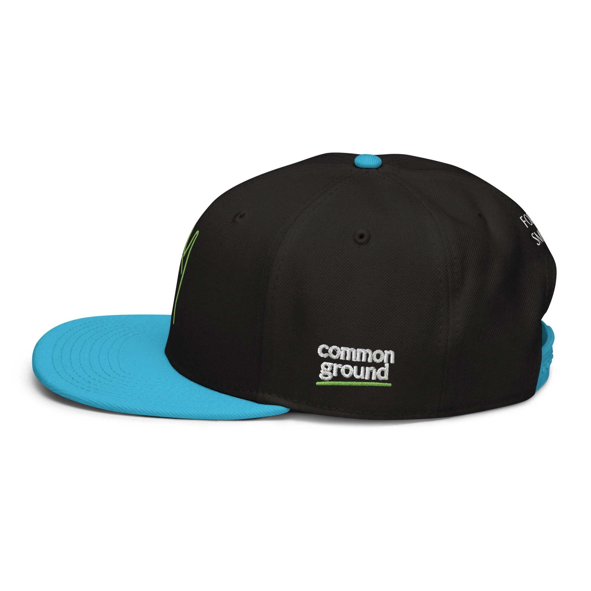 snapback-aqua-blue-black-black-left-side-69f4c196df3bc.jpg