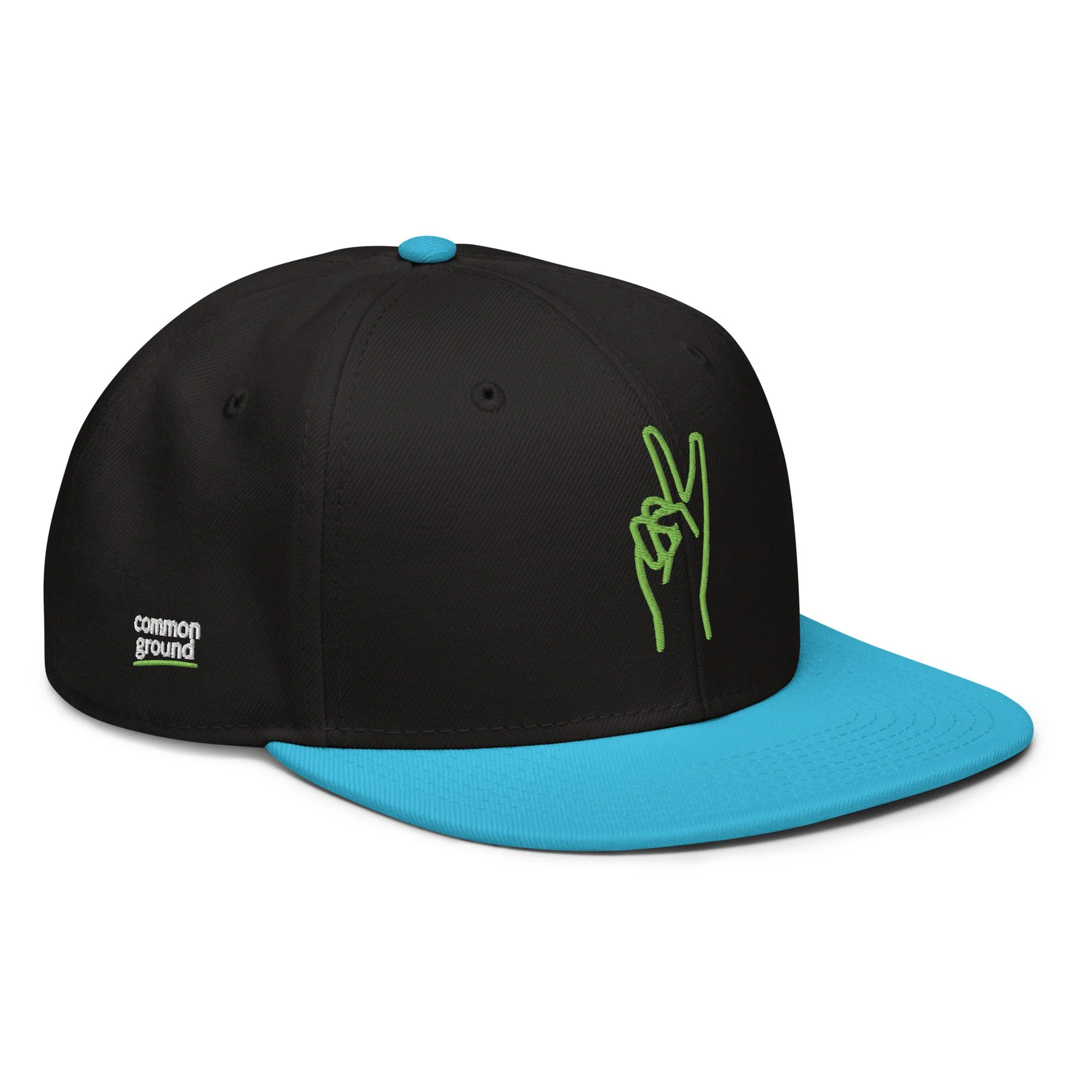 snapback-aqua-blue-black-black-right-front-69f4c196e0b16.jpg