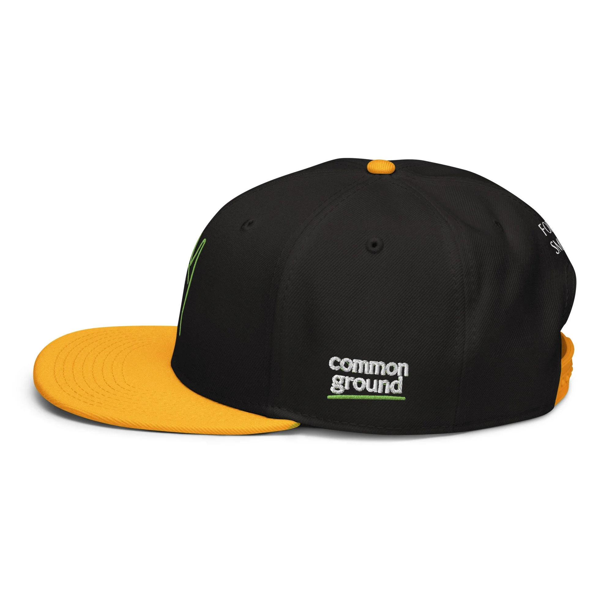 snapback-gold-black-black-left-side-69f4c196df712.jpg