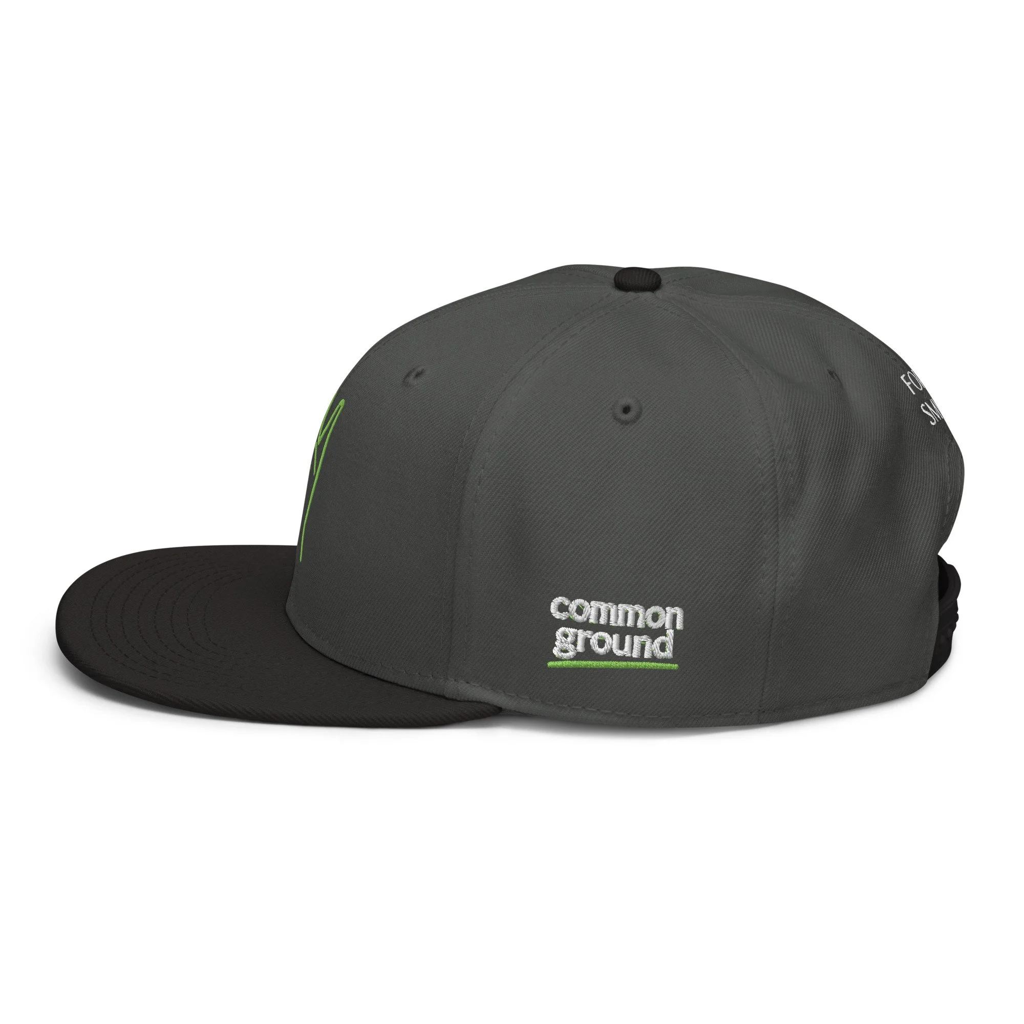 snapback-black-charcoal-gray-charcoal-gray-left-side-69f4c196df4d8.jpg
