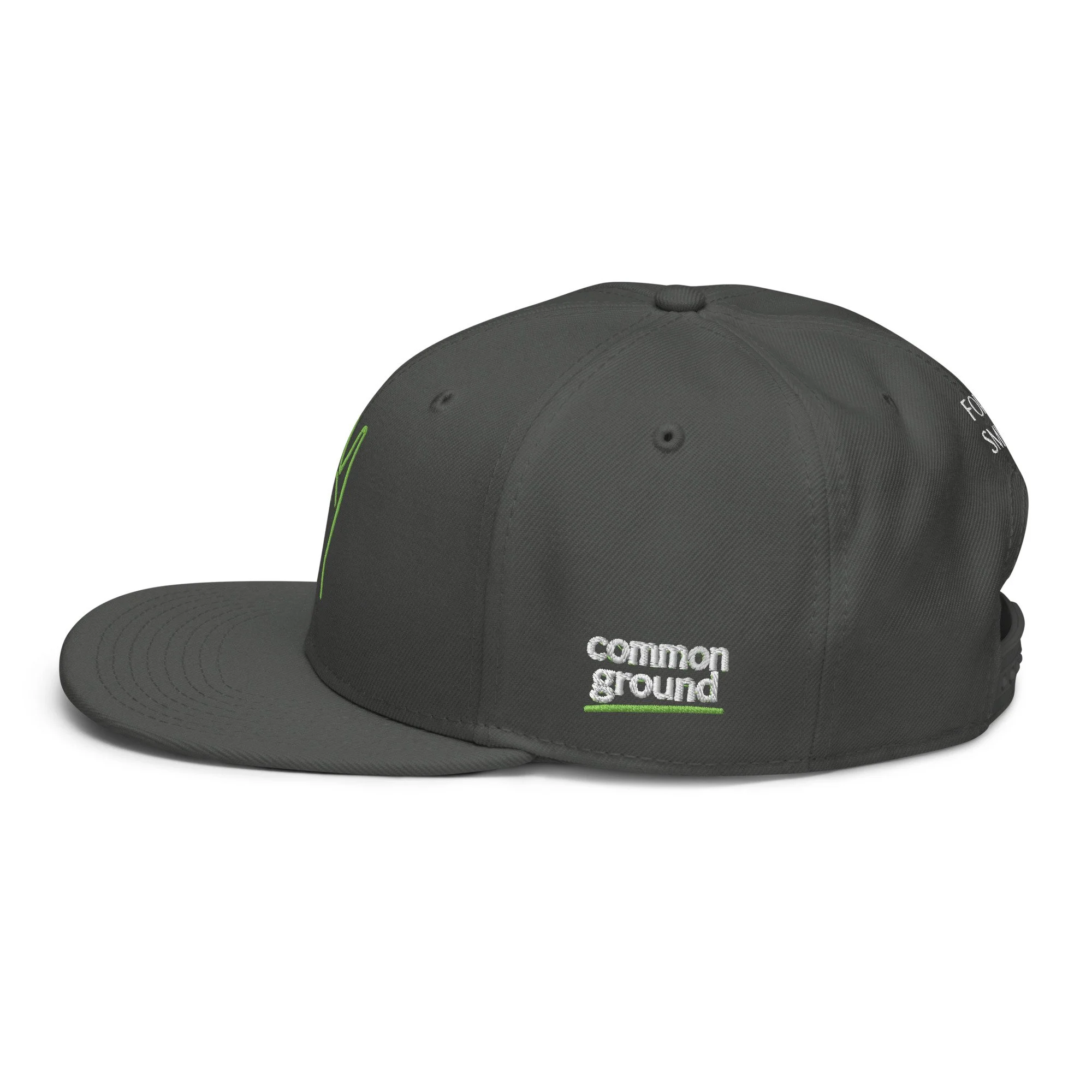 snapback-charcoal-gray-left-side-69f4c196df6a2.jpg