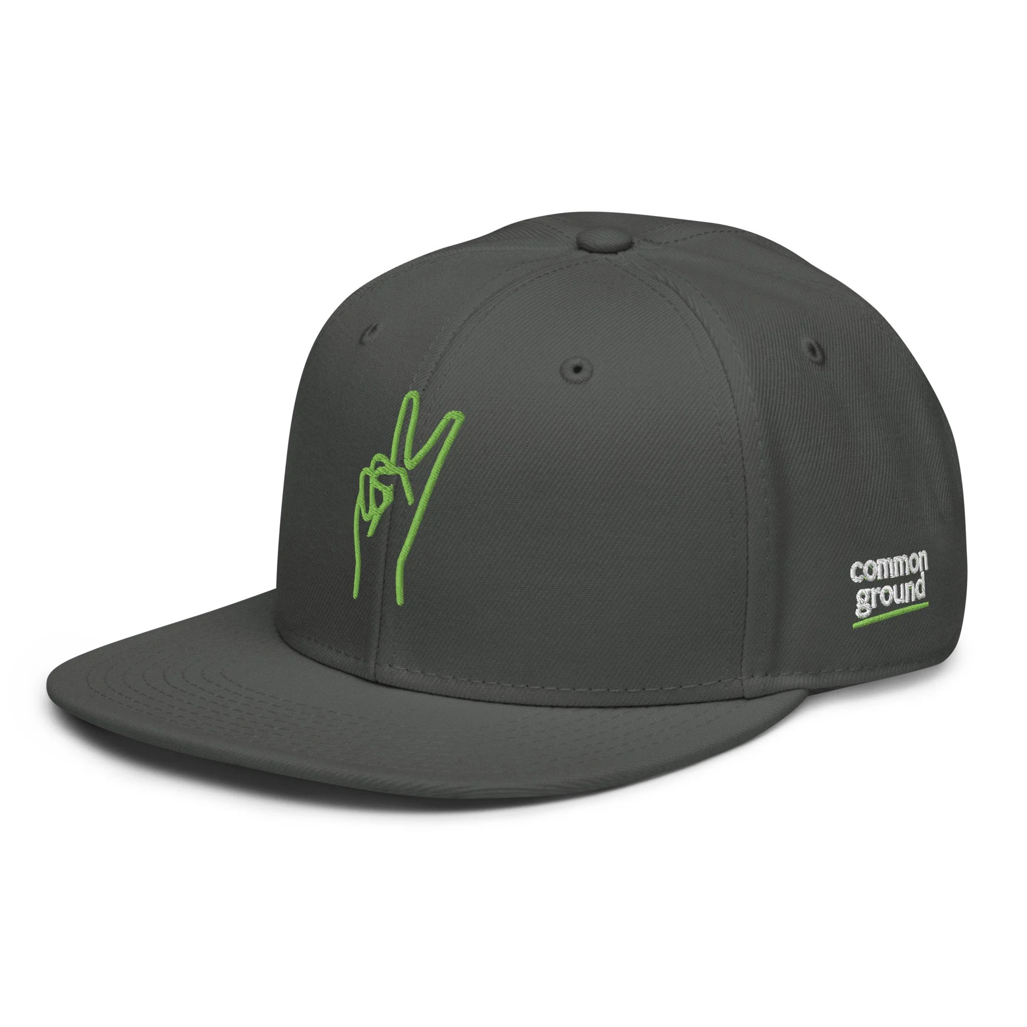 snapback-charcoal-gray-left-front-69f4c196e1a05.jpg