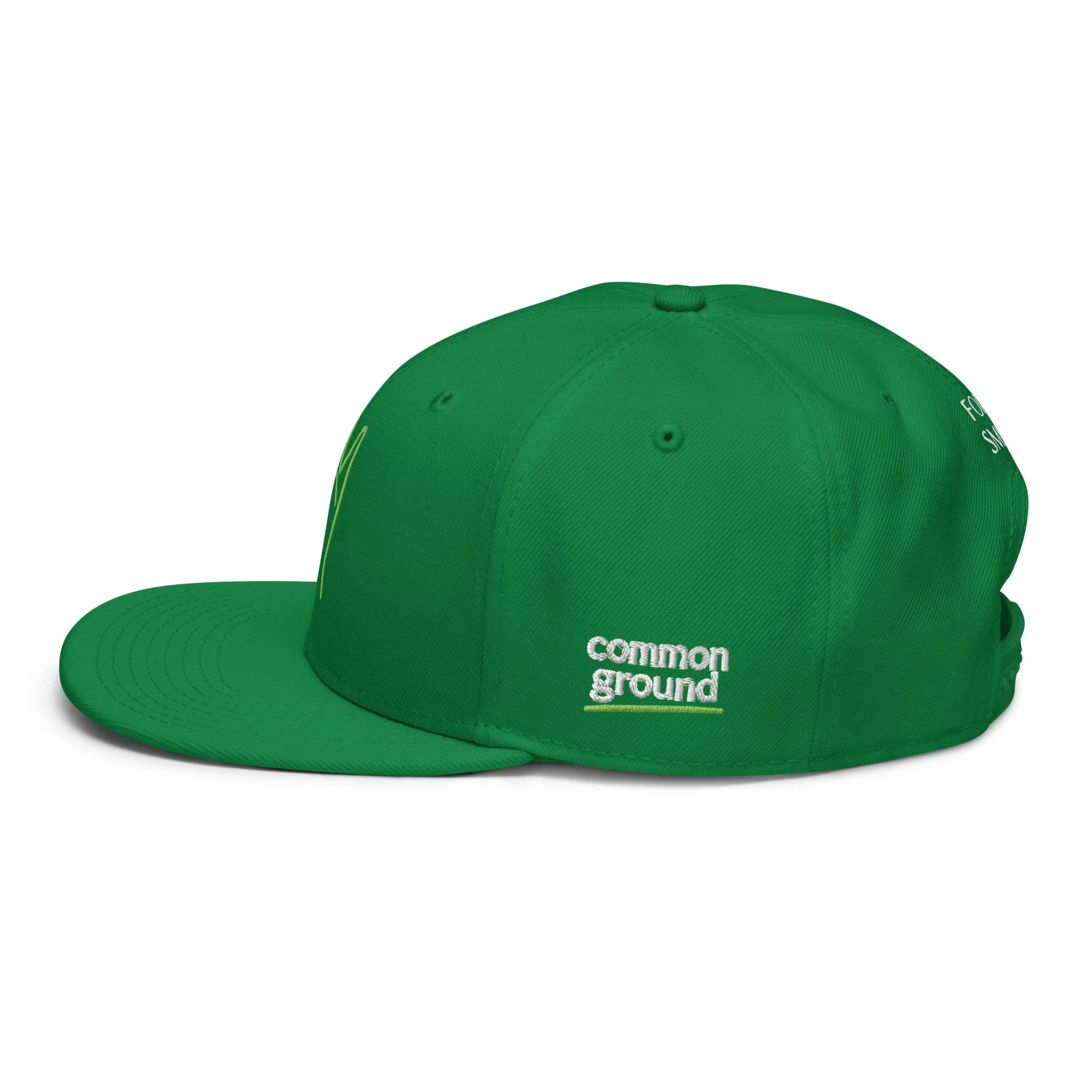 snapback-kelly-green-left-side-69f4c196df7fb.jpg