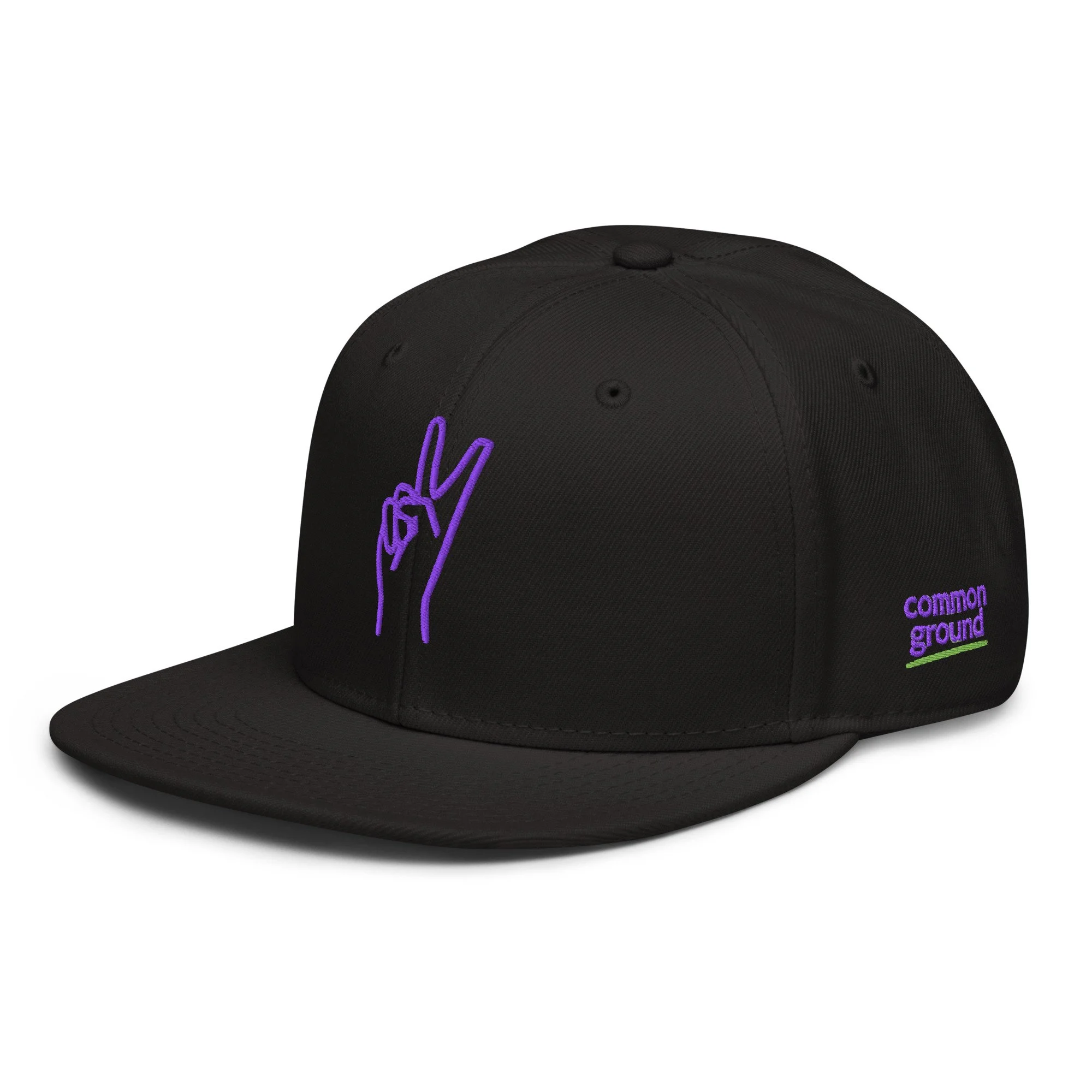 snapback-black-left-front-69f4d41c70476.jpg