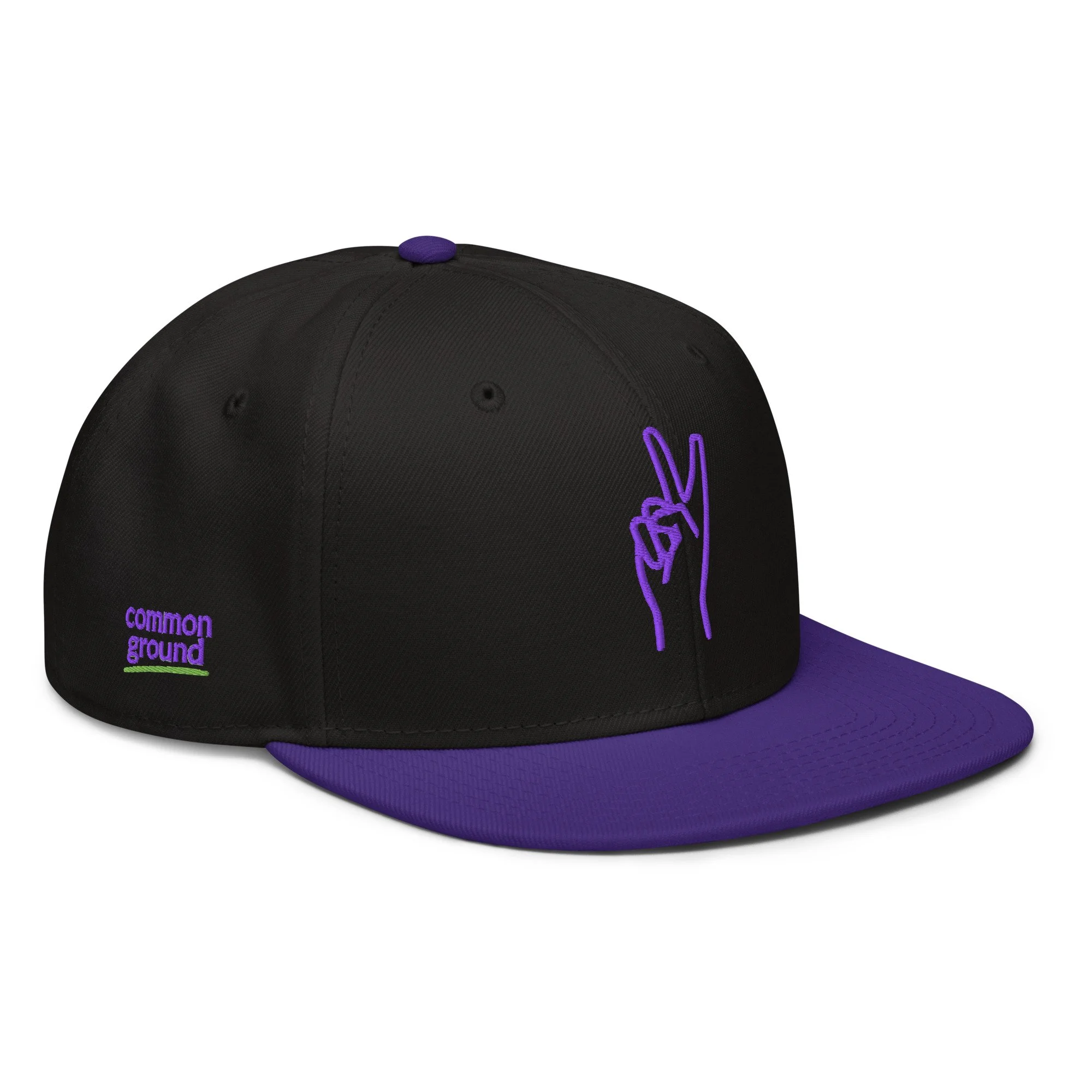 snapback-purple-black-black-right-front-69f4d41c6f670.jpg