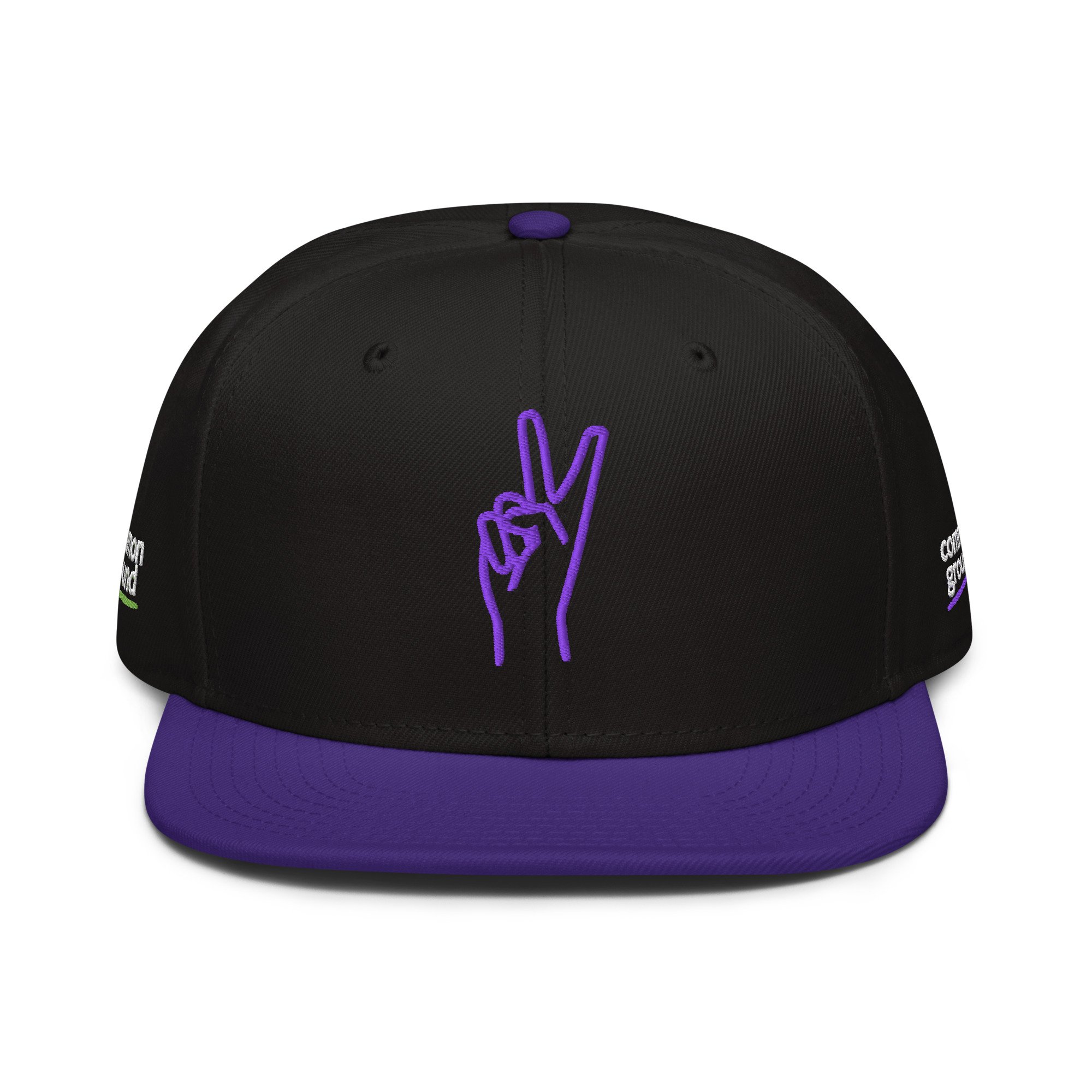 snapback-purple-black-black-front-69f8cdccbf100.jpg