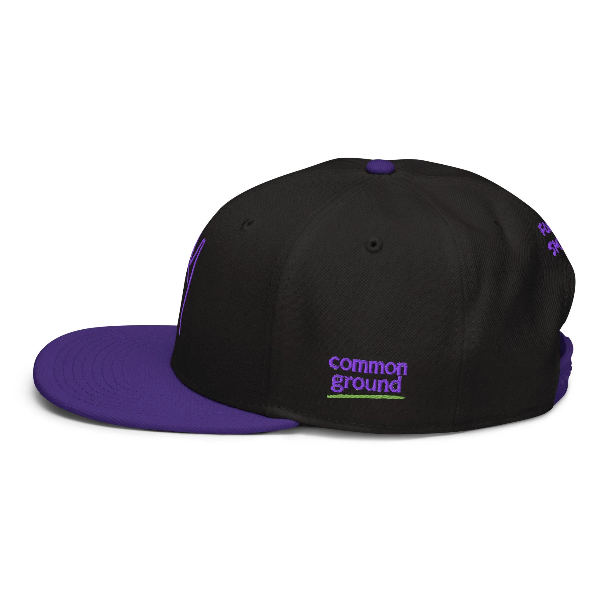 snapback-purple-black-black-left-side-69fb0982c7faa.jpg
