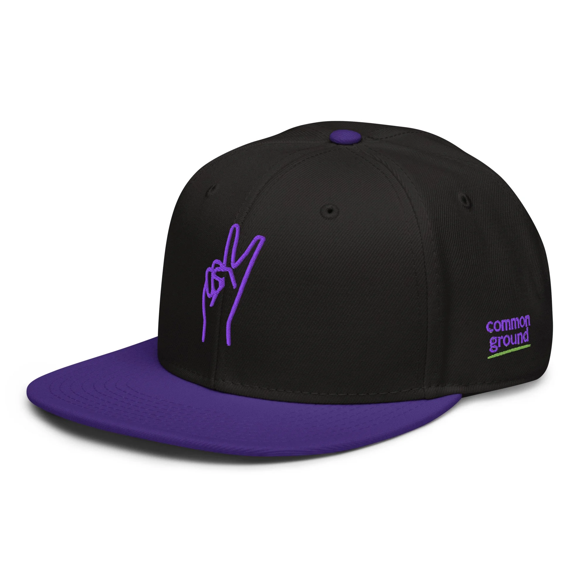 snapback-purple-black-black-left-front-69fb0982c90a1.jpg