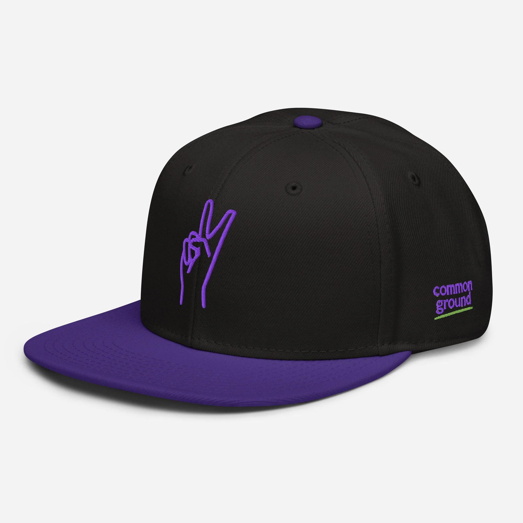 snapback-purple-black-black-left-front-69fb09f22877a.jpg