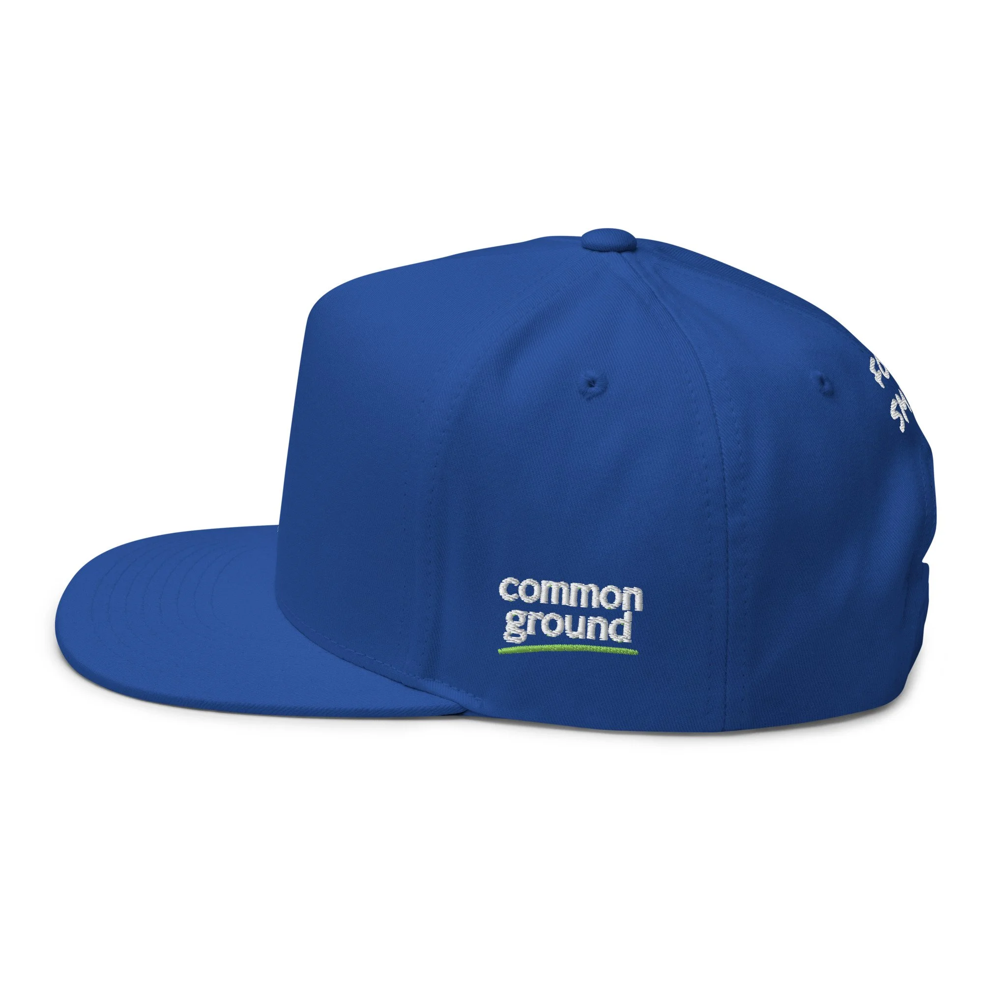 flat-bill-cap-royal-blue-left-side-69fb161062030.jpg