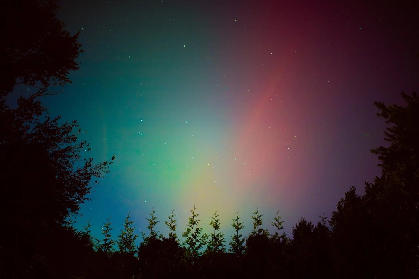 The Northern Lights in New Jersey last night😭🥺