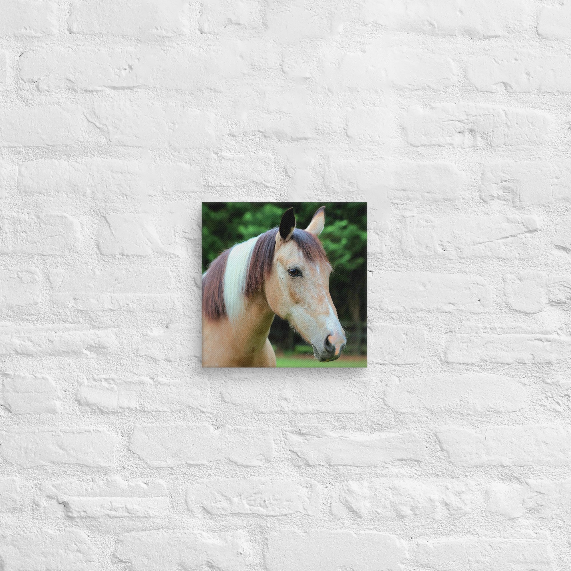 canvas-(in)-10x10-front-669ea2ebd4155.jpg