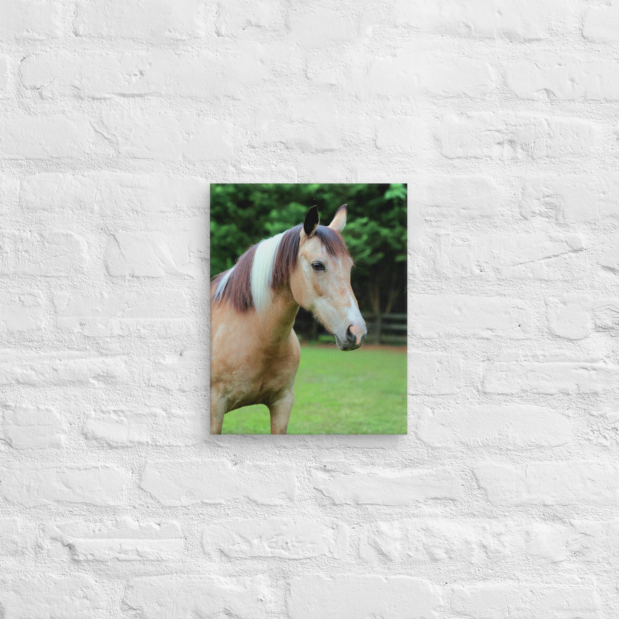canvas-(in)-11x14-front-669ea2ebd42de.jpg