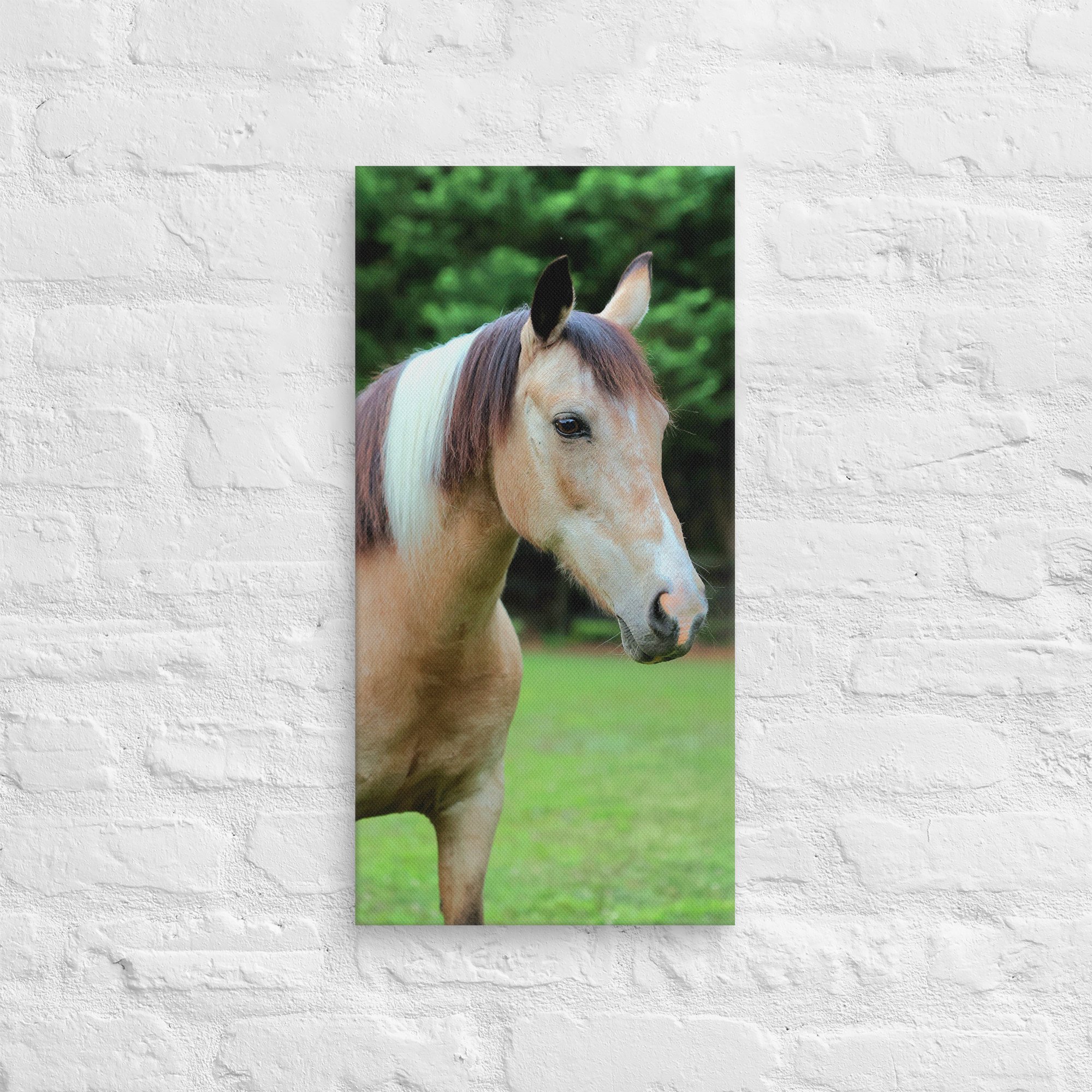 canvas-(in)-12x24-front-669ea2ebd4431.jpg
