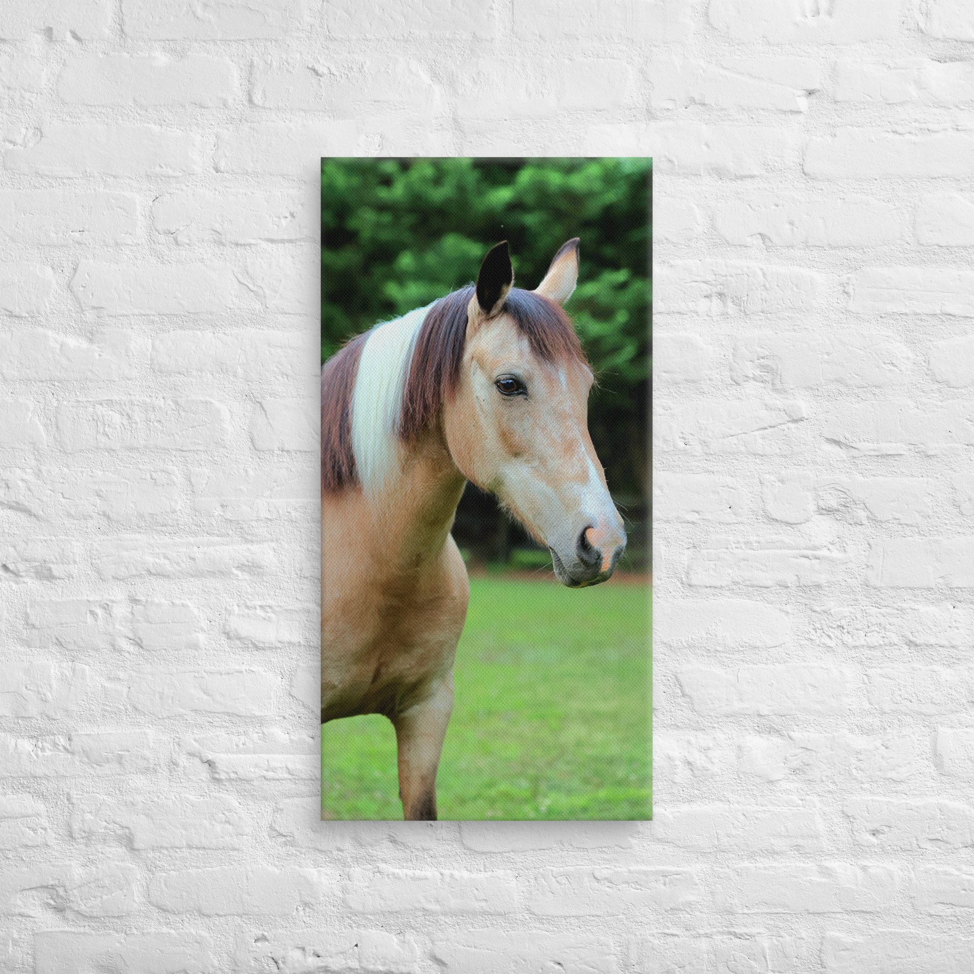 canvas-(in)-16x32-front-669ea2ebd45b2.jpg