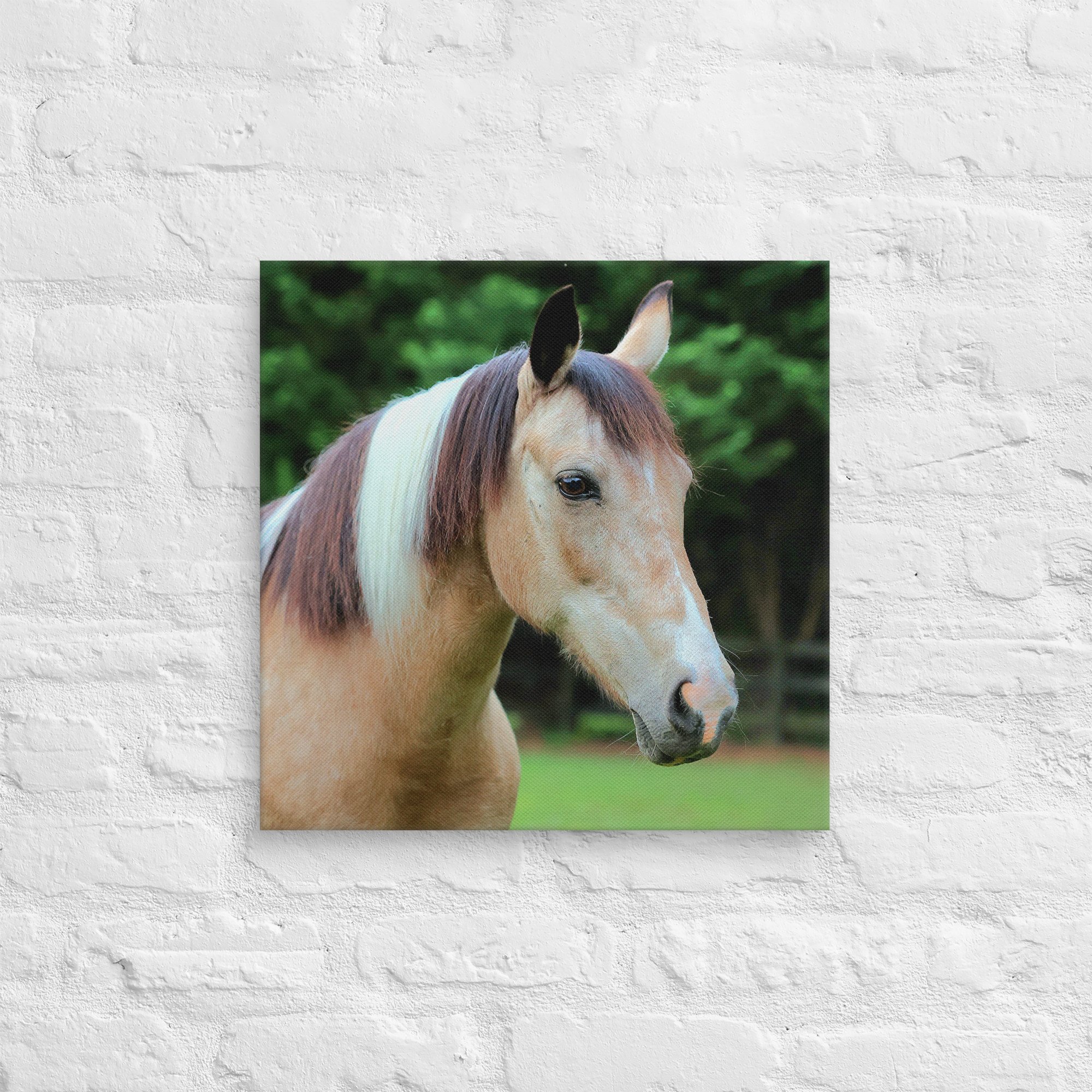 canvas-(in)-18x18-front-669ea2ebd4655.jpg
