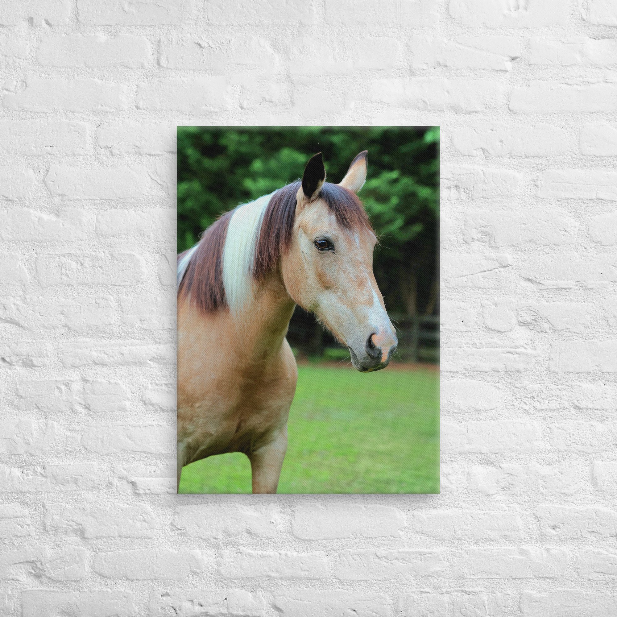 canvas-(in)-20x28-front-669ea2ebd48df.jpg
