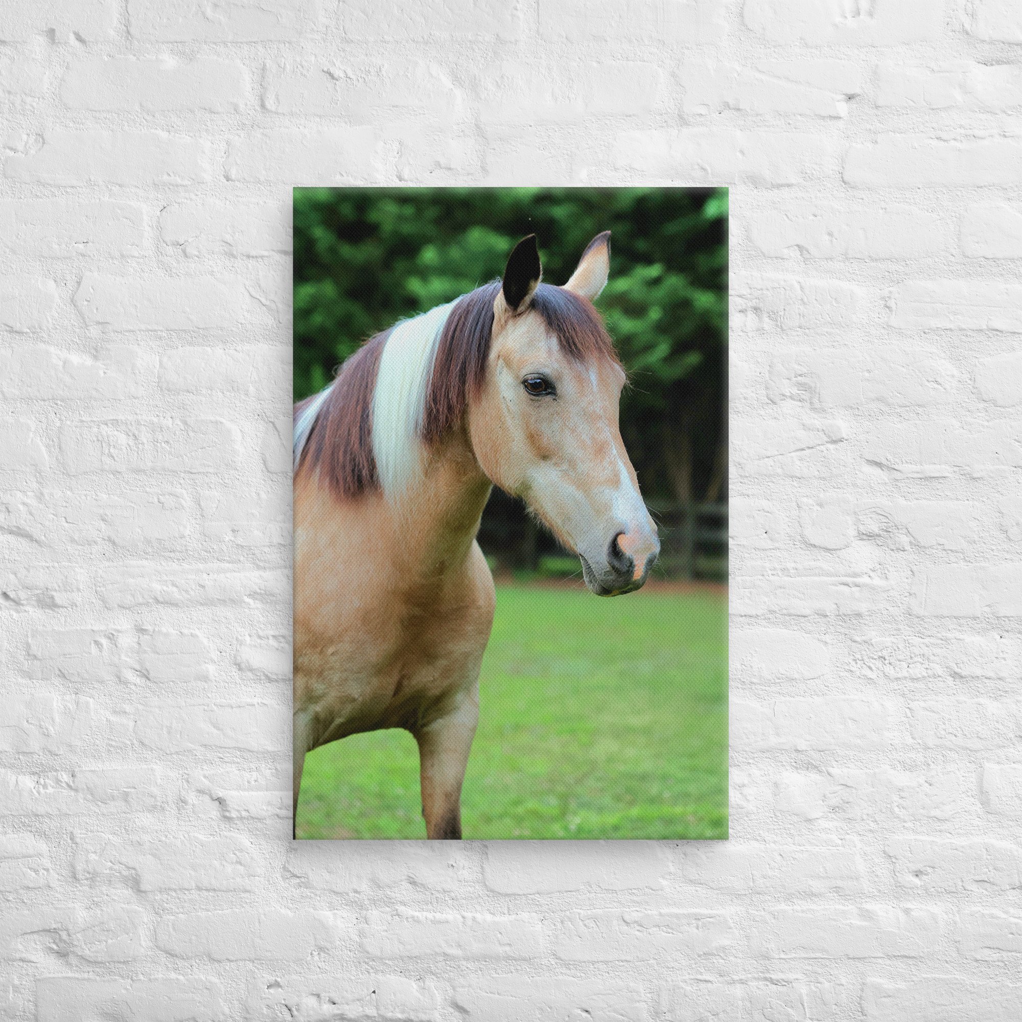 canvas-(in)-20x30-front-669ea2ebd4975.jpg