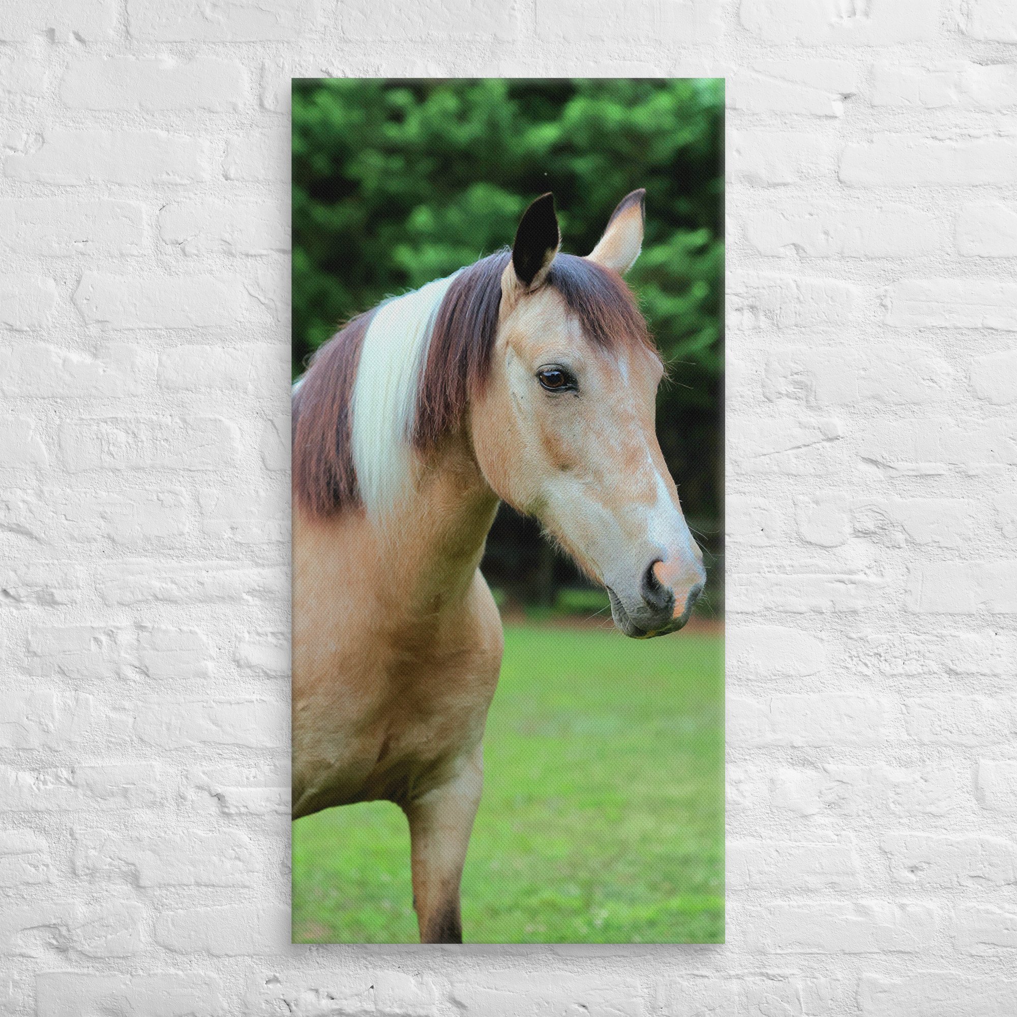 canvas-(in)-20x40-front-669ea2ebd4a23.jpg