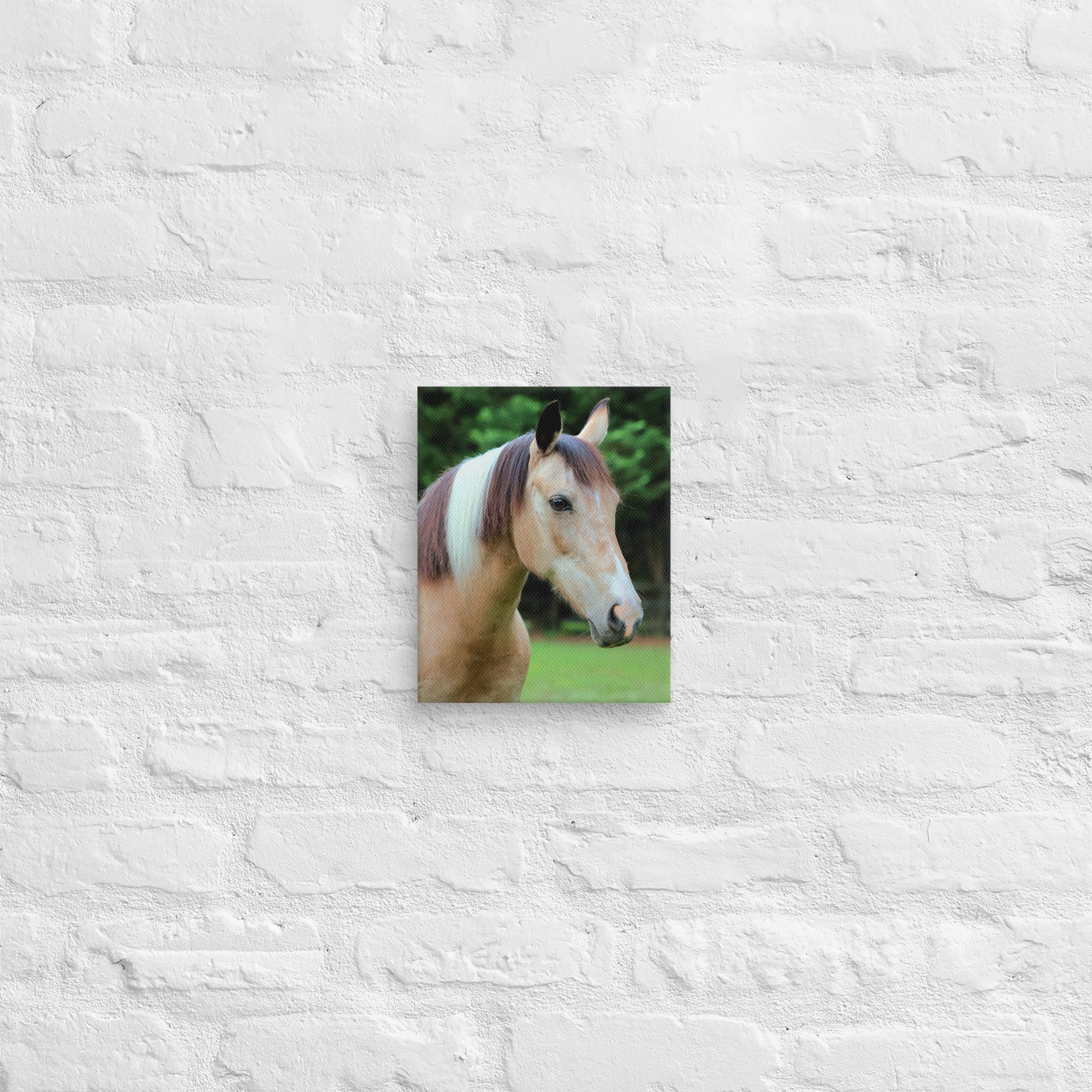 canvas-(in)-8x10-front-669ea2ebd4cab.jpg