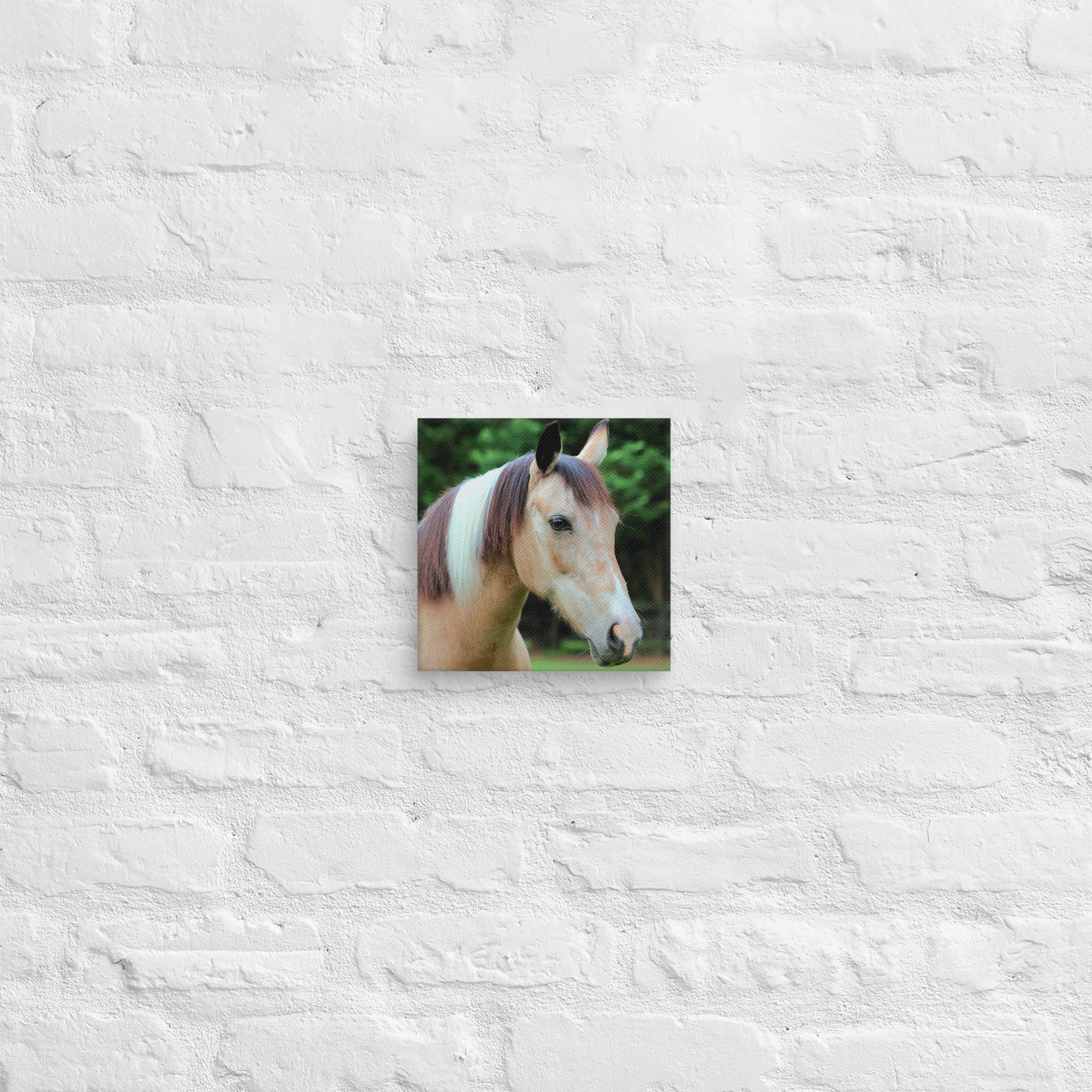 canvas-(in)-8x8-front-669ea2ebd4de1.jpg