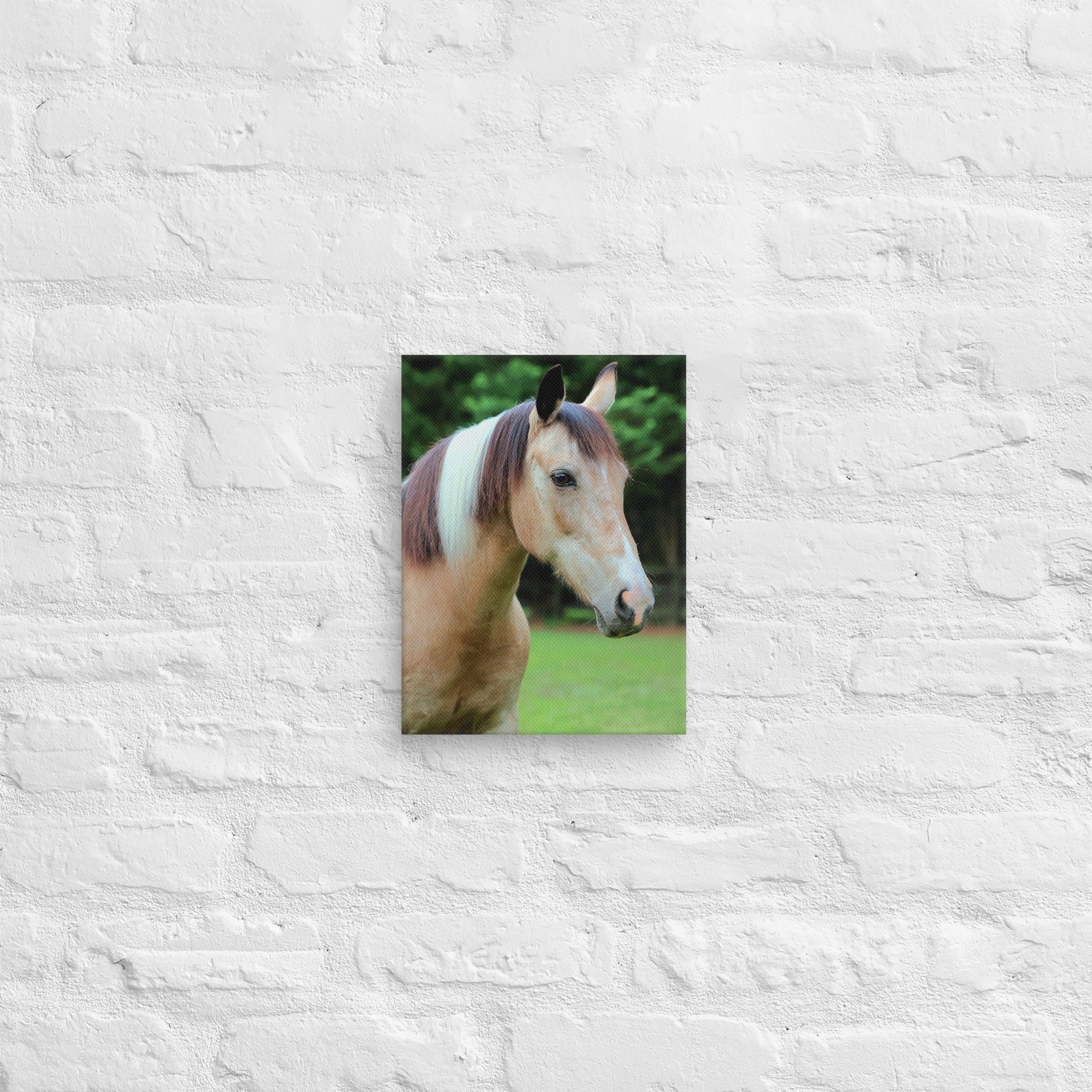 canvas-(in)-9x12-front-669ea2ebd4e7b.jpg