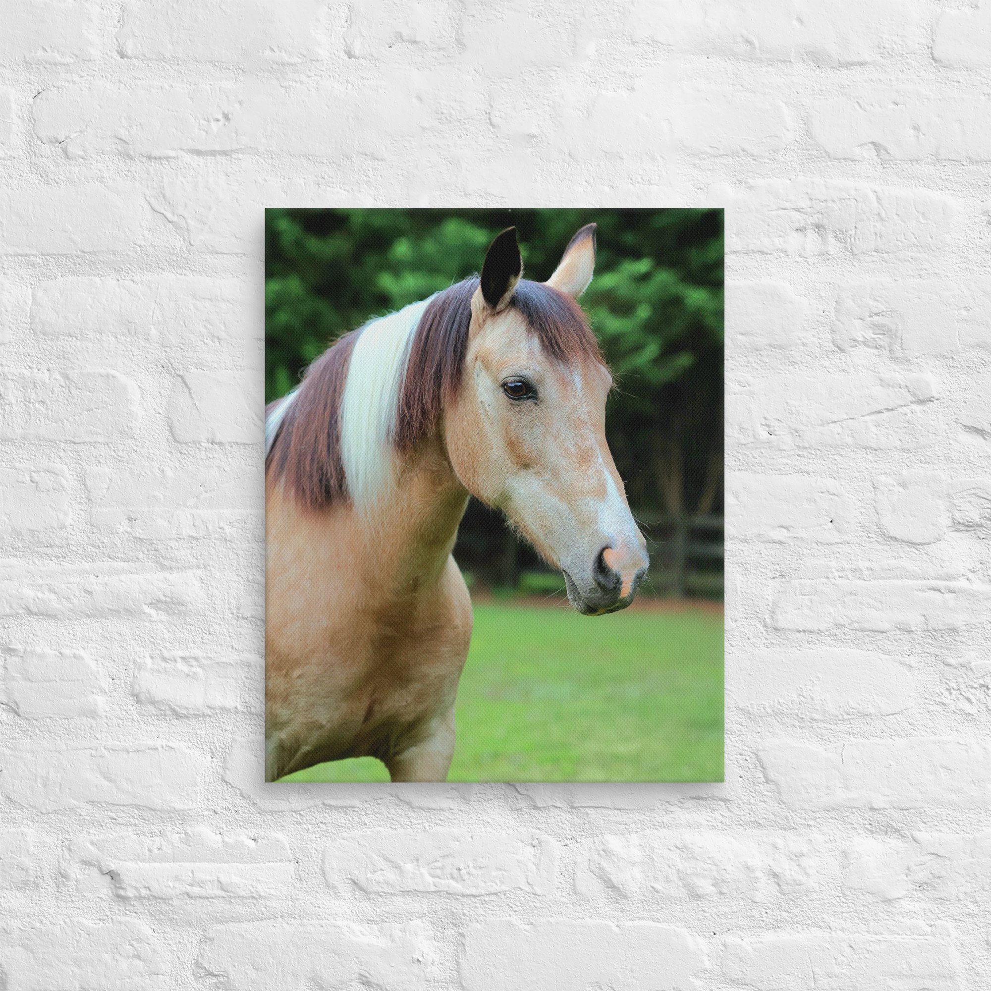 canvas-(in)-16x20-front-669ea2ebd5298.jpg