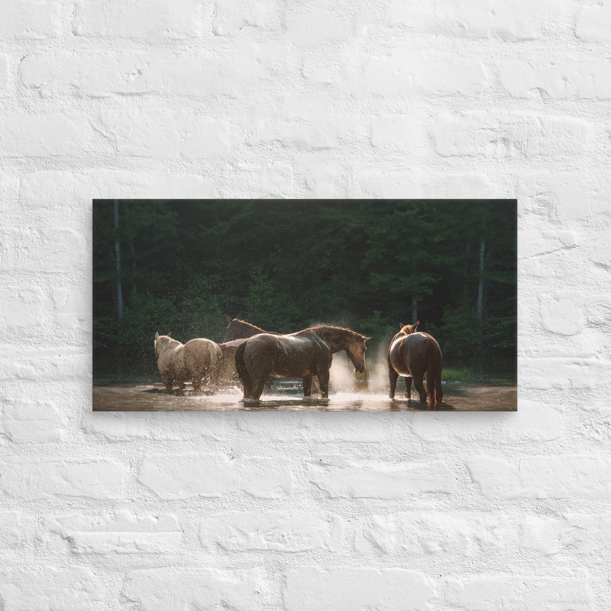 canvas-(in)-12x24-front-669ec8d02684e.jpg
