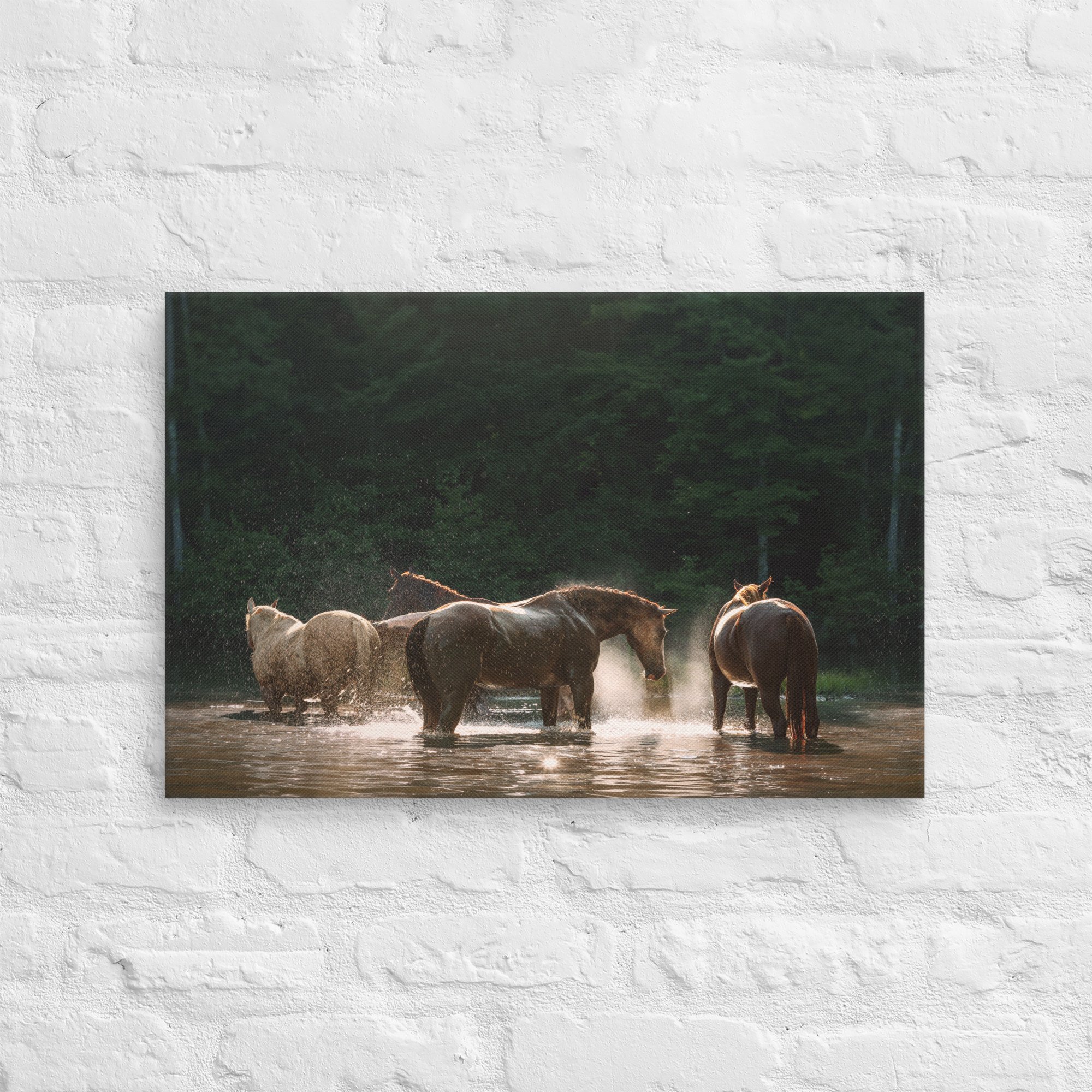 canvas-(in)-16x24-front-669ec8d026920.jpg