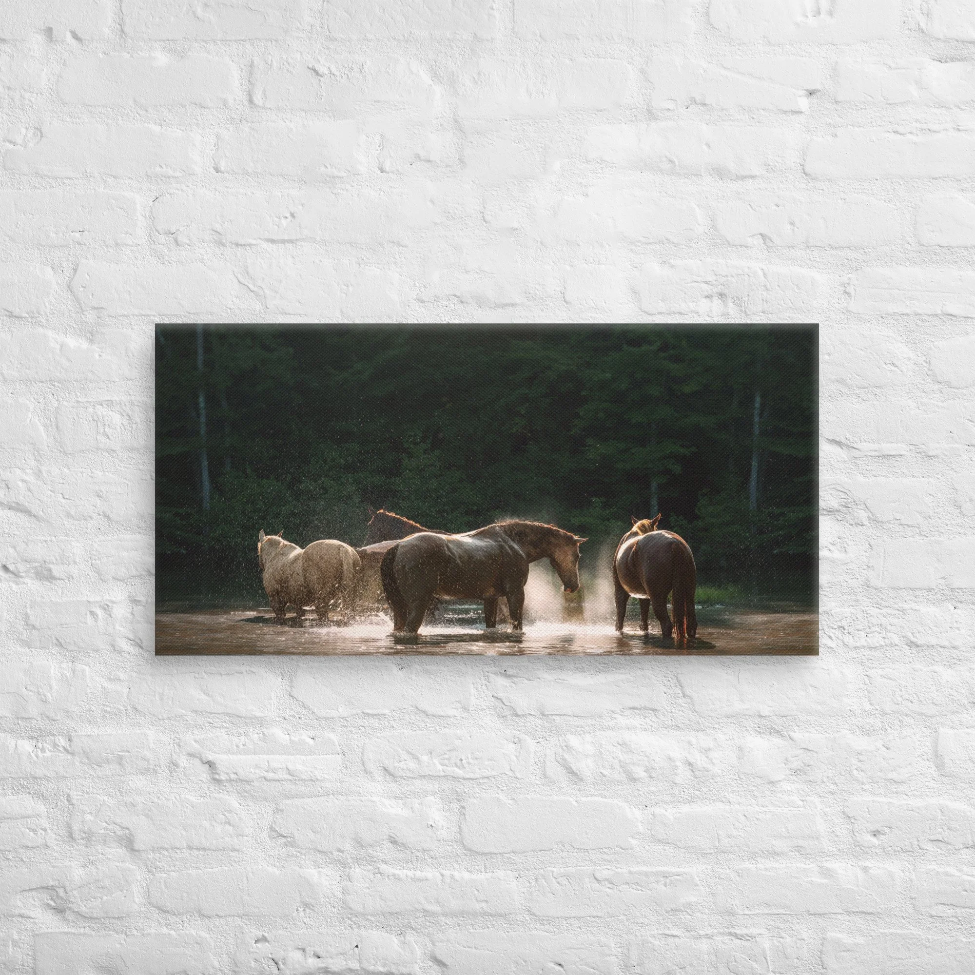 canvas-(in)-16x32-front-669ec8d0269b8.jpg