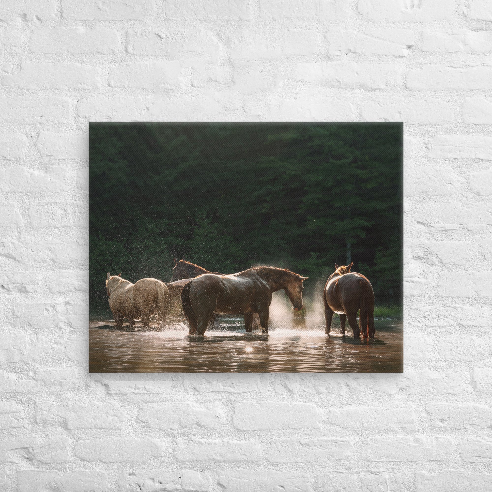 canvas-(in)-24x30-front-669ec8d026e4d.jpg