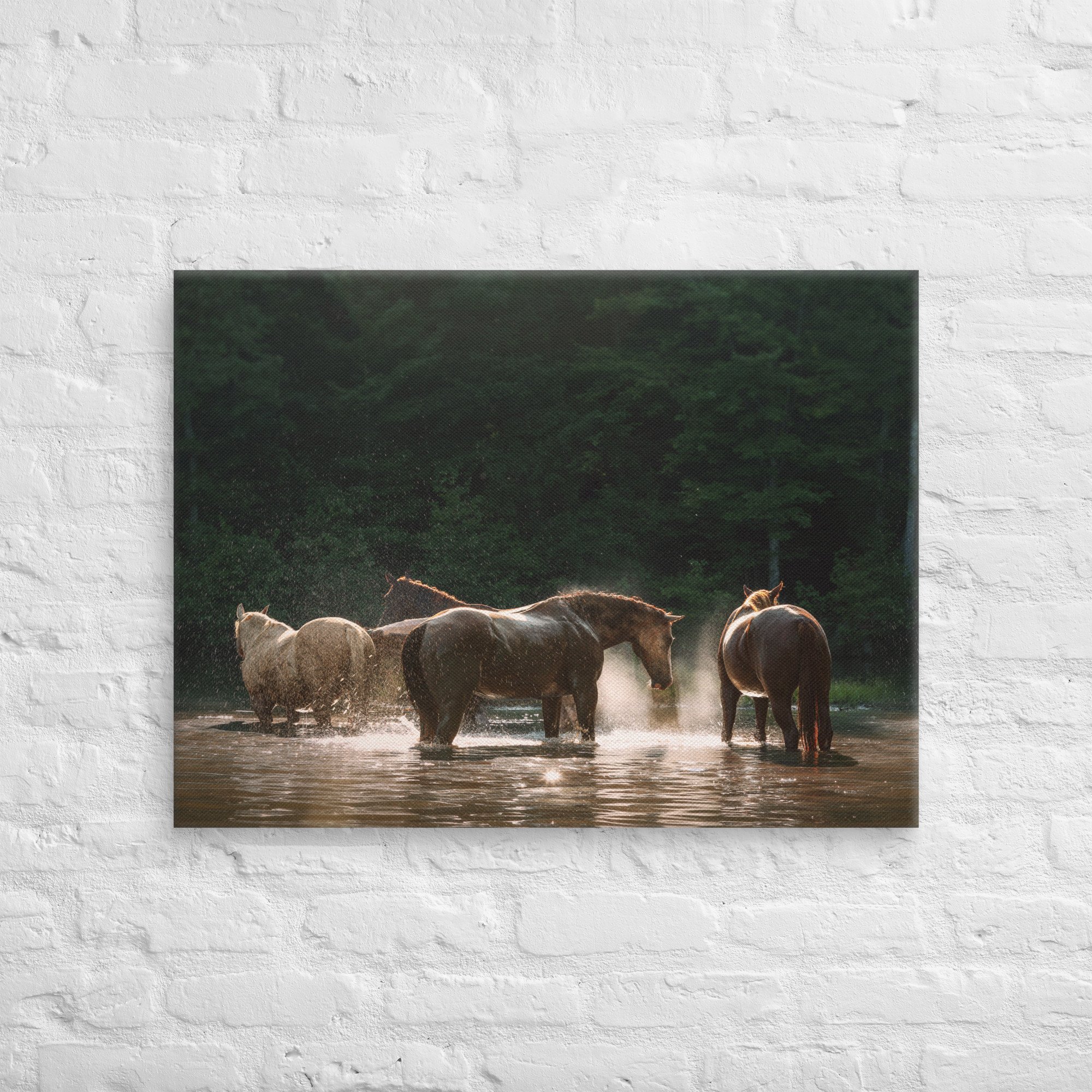 canvas-(in)-24x32-front-669ec8d026e9d.jpg