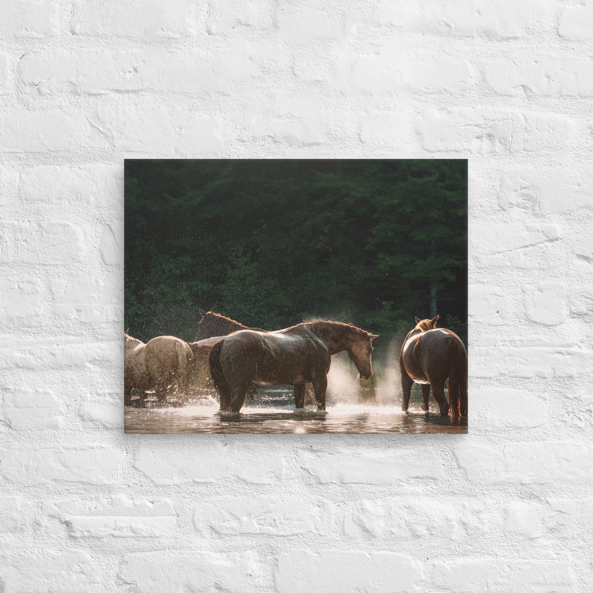 canvas-(in)-16x20-front-669ec8d0272f4.jpg