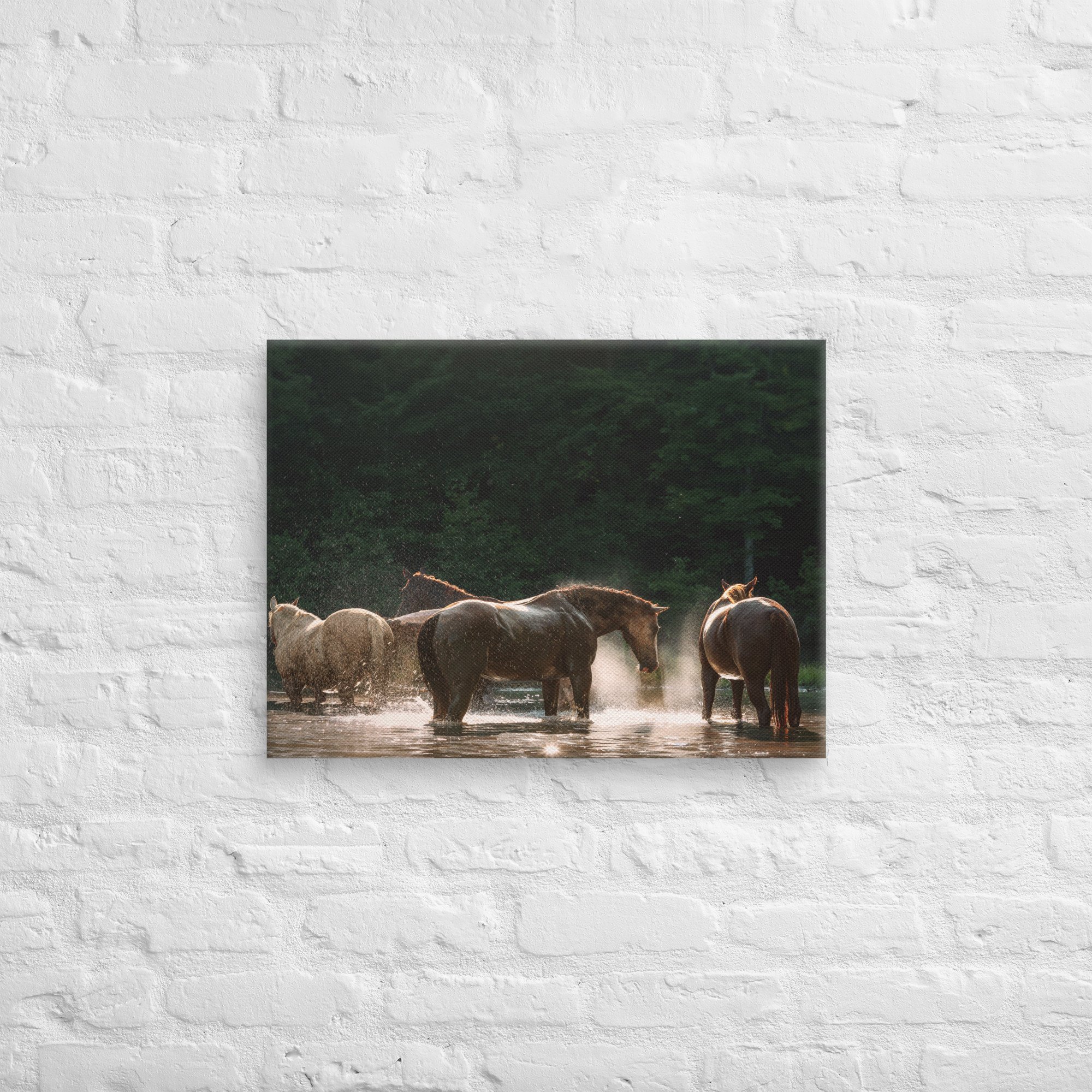 canvas-(in)-18x24-front-669ec8d027480.jpg