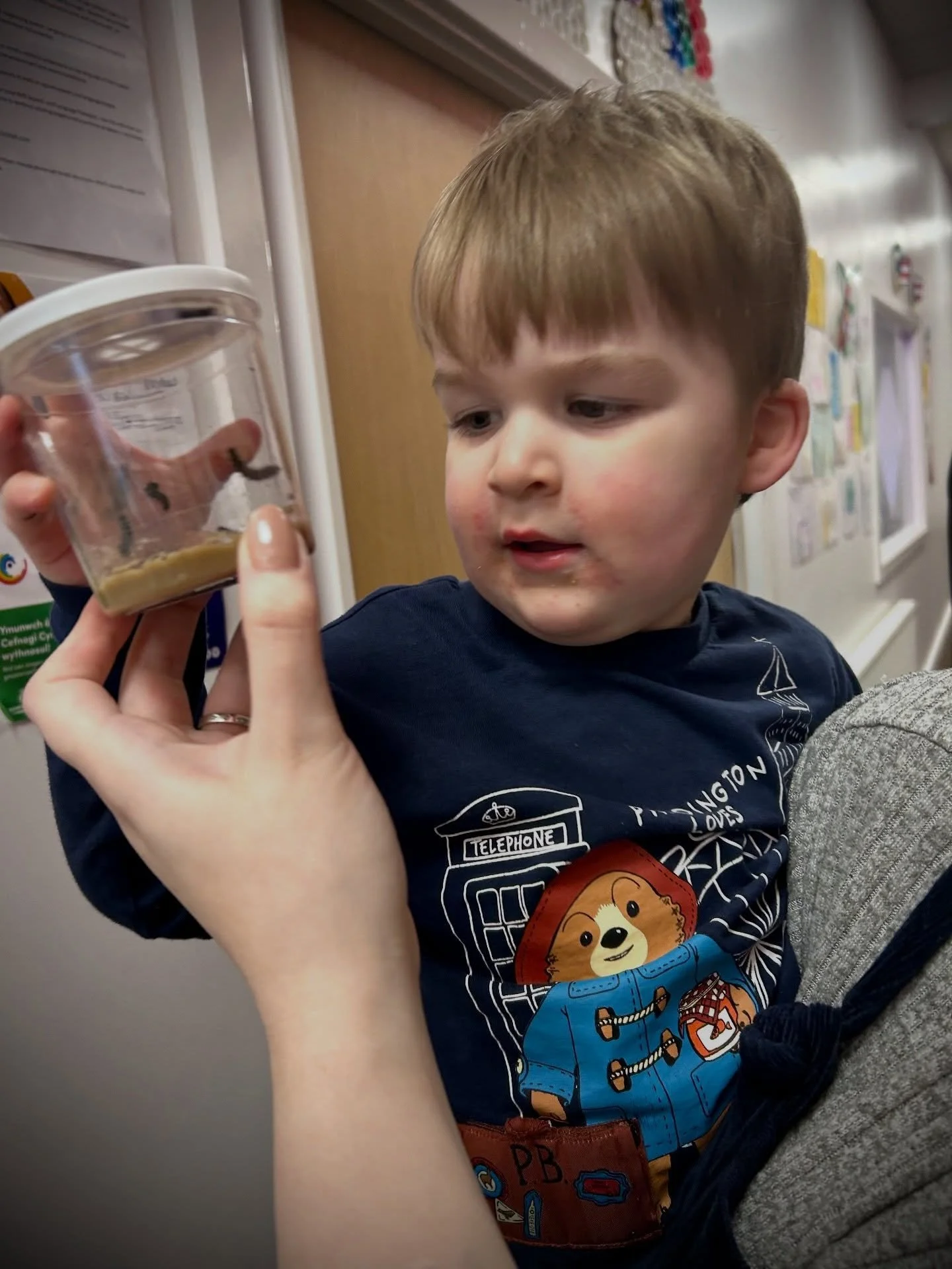 Watching our Caterpillars grow bigger by the day 🐛  #rolelaneplay #rct #caterpillar #nature #spring
