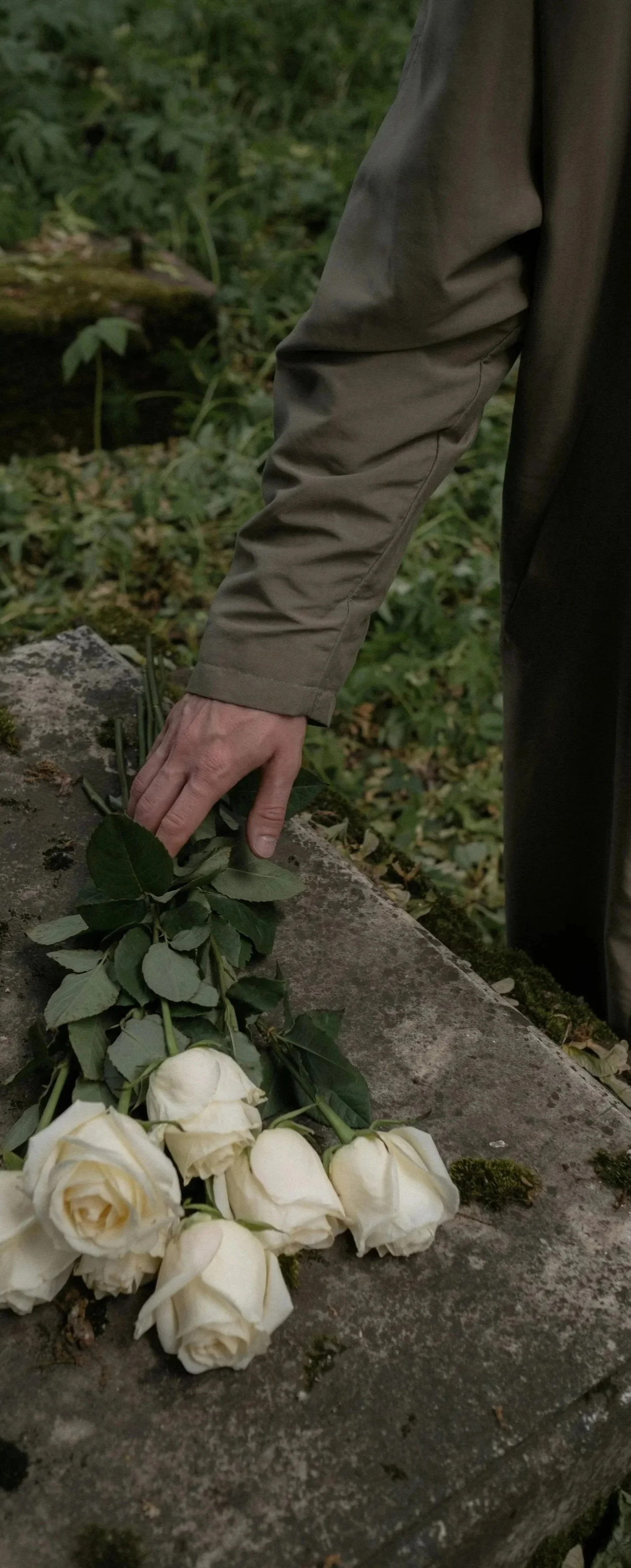 A person in a beige jacket places white roses on a weathered stone grave outdoors, surrounded by greenery.