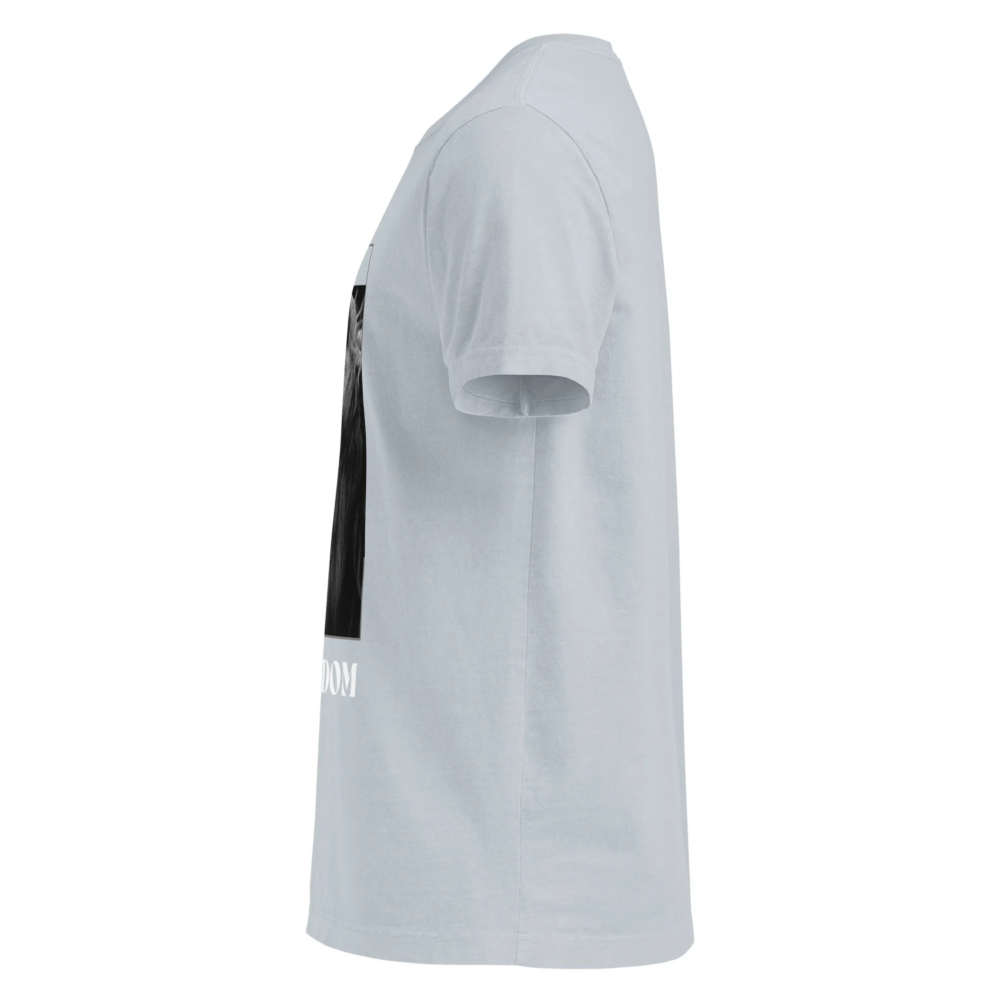 unisex-oversized-garment-dyed-t-shirt-light-washed-denim-left-6886a009c3828.jpg