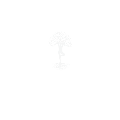 Rooted Studios