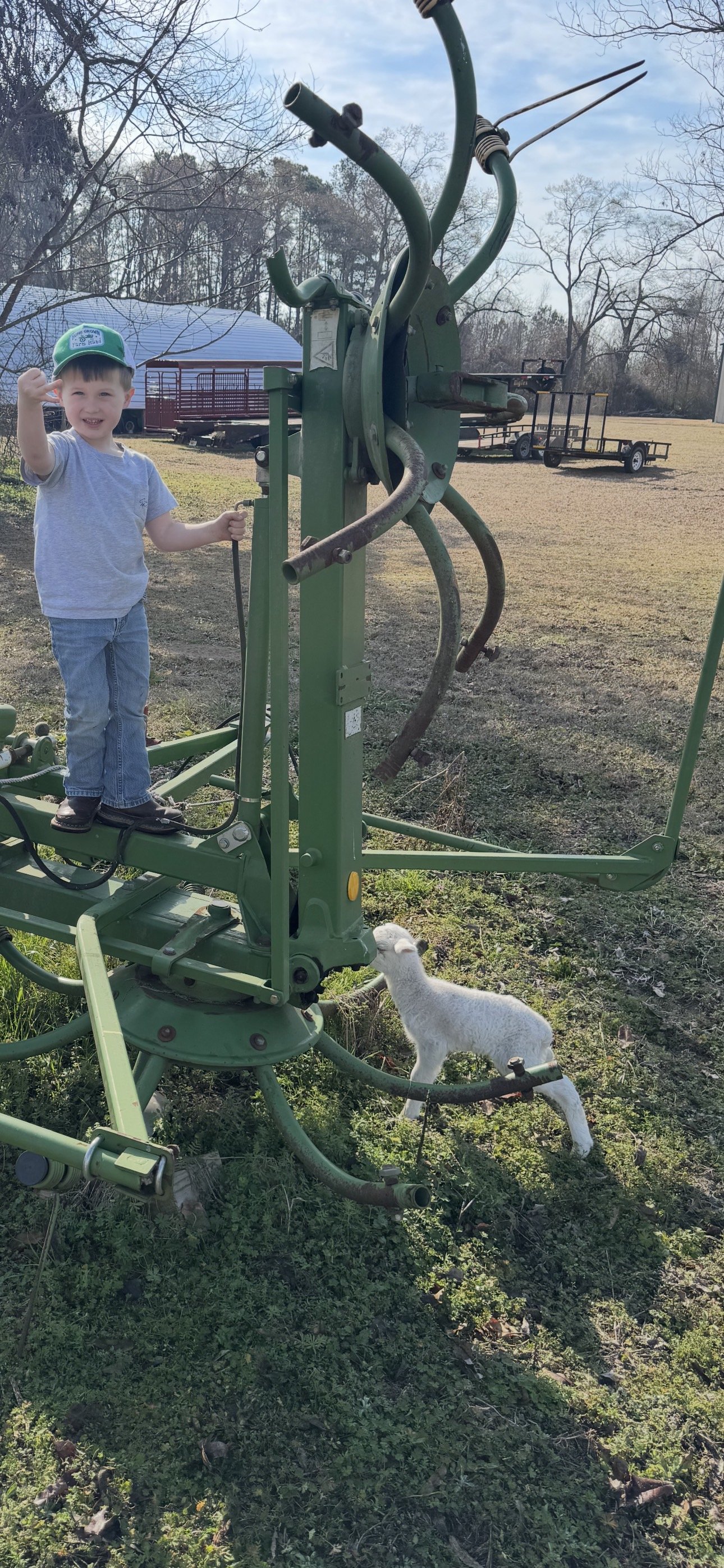 Young boy standing on green farm machinery with a lamb underneath on grass, rural setting.
