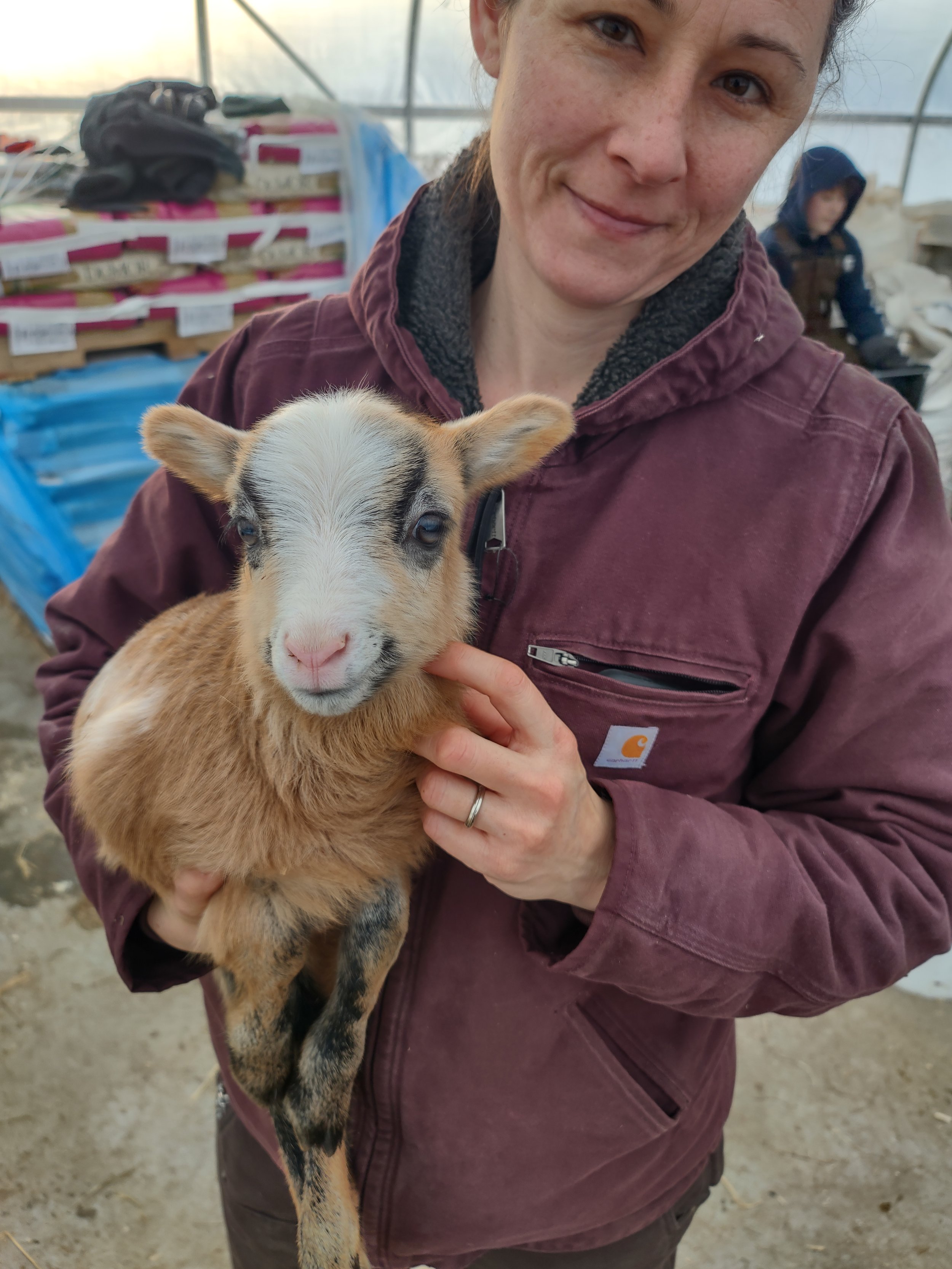 Woman holding a baby goat inside a greenhouse, with another person in the background.