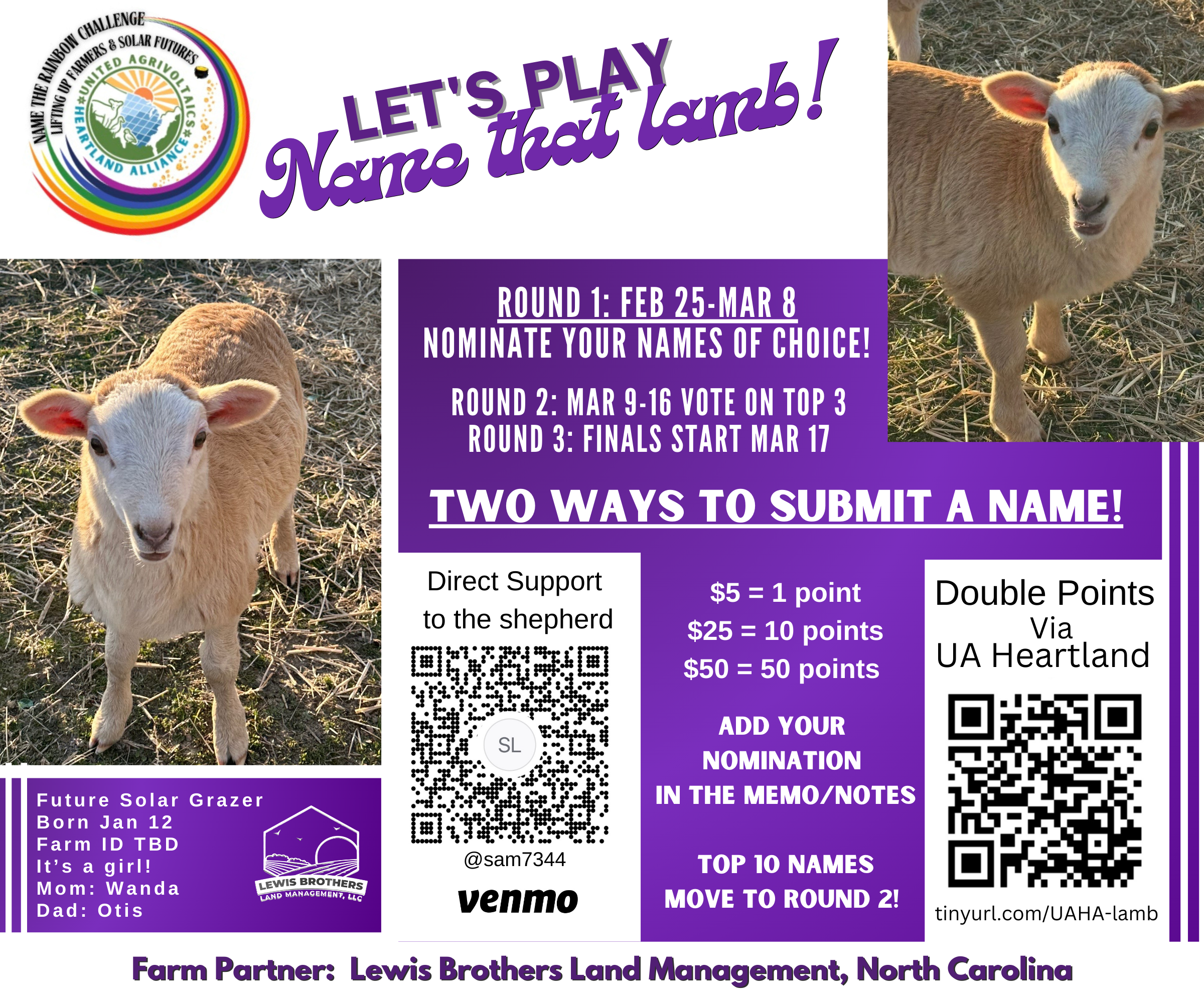 Promotional poster for a lamb-naming contest with two lamb photos, contest details, and submission methods including Venmo and a QR code. Organized by Lewis Brothers Land Management and UA Heartland. Takes place in North Carolina with rounds from Feb