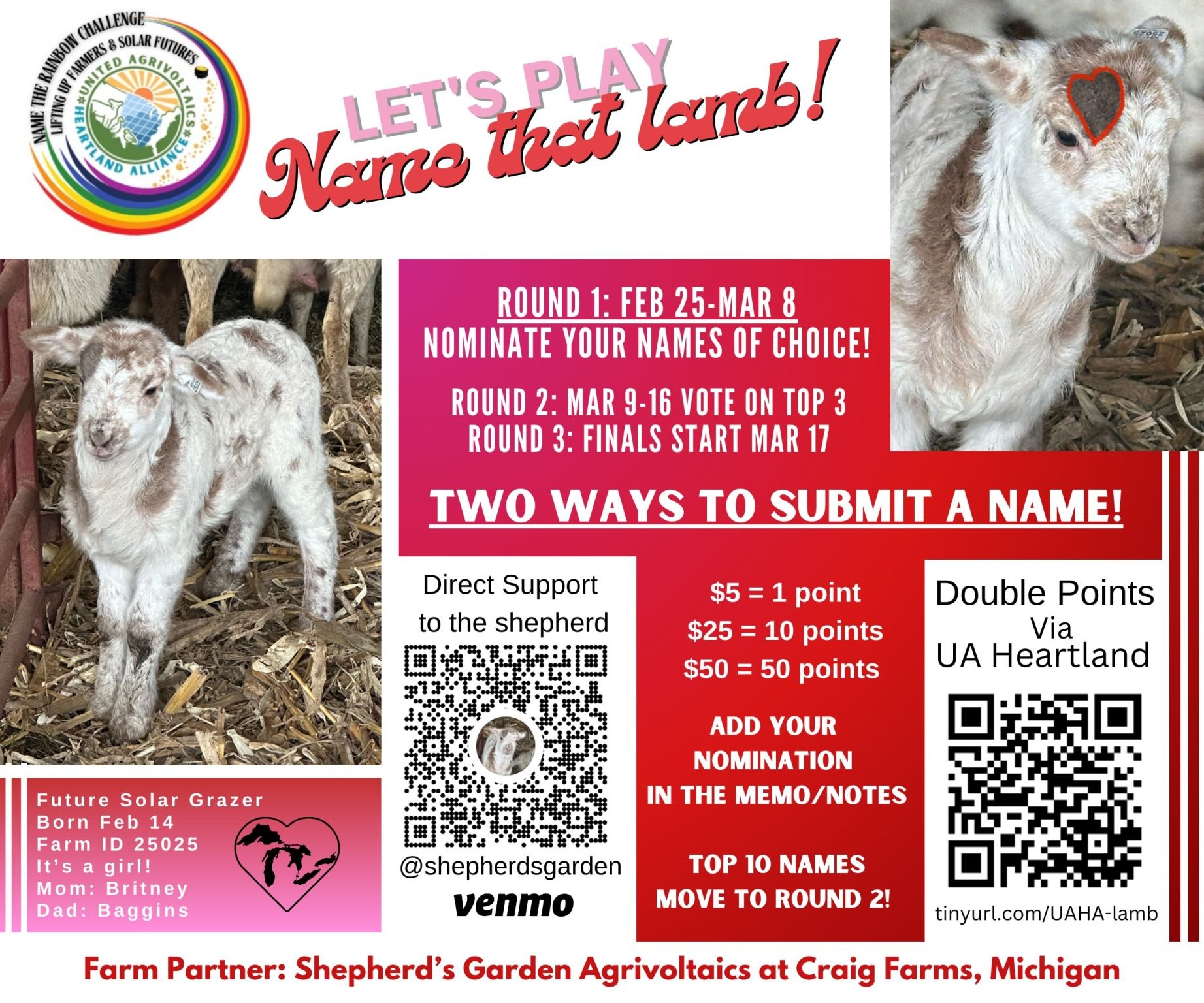 A promotional flyer for a lamb naming contest by Shepherd's Garden Agrivoltaics. It features a lamb image and event details, including a QR code for submissions. The contest has three rounds, starting from February 25 to March 17. Participants can su