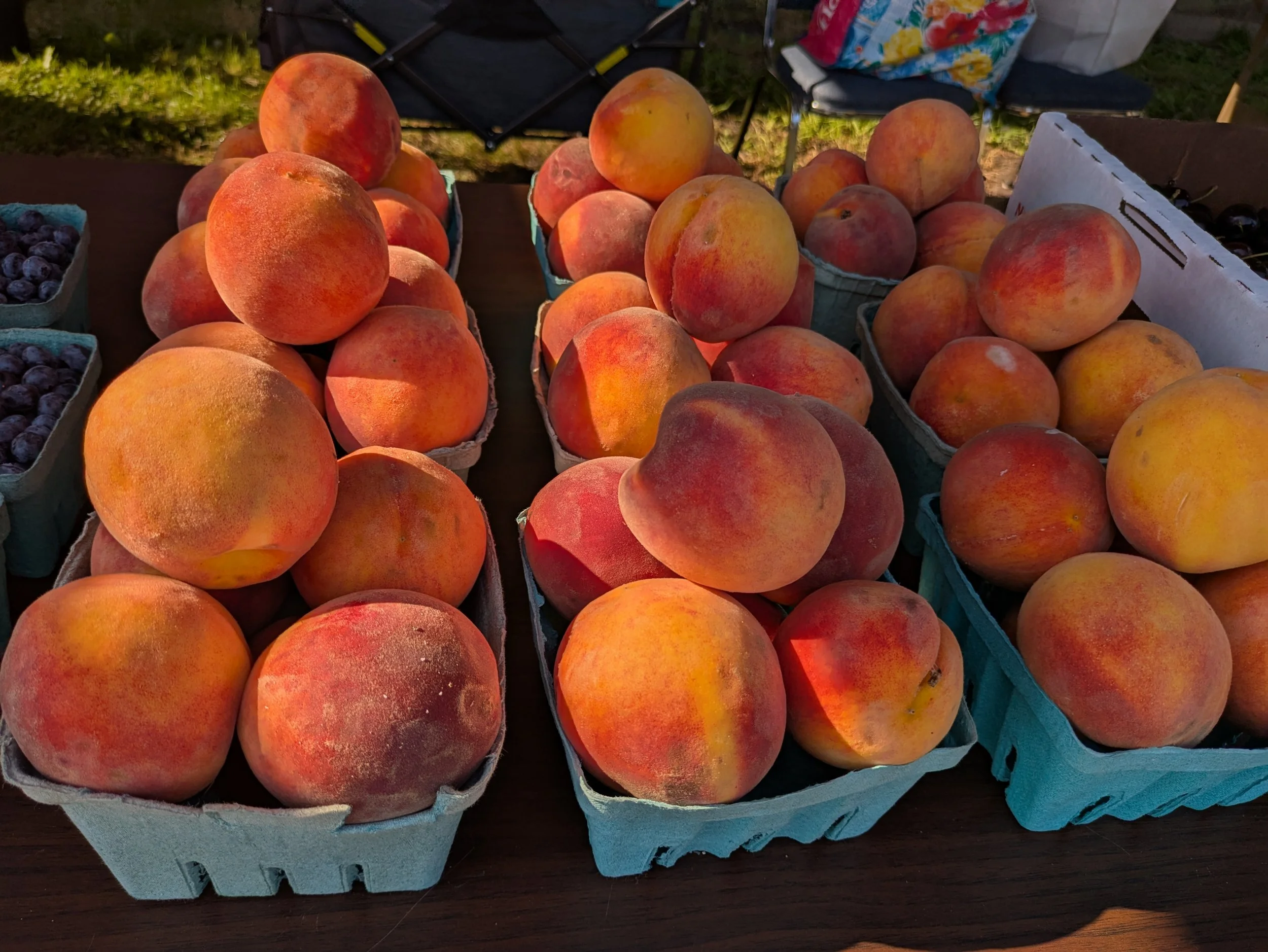 quarts of peaches