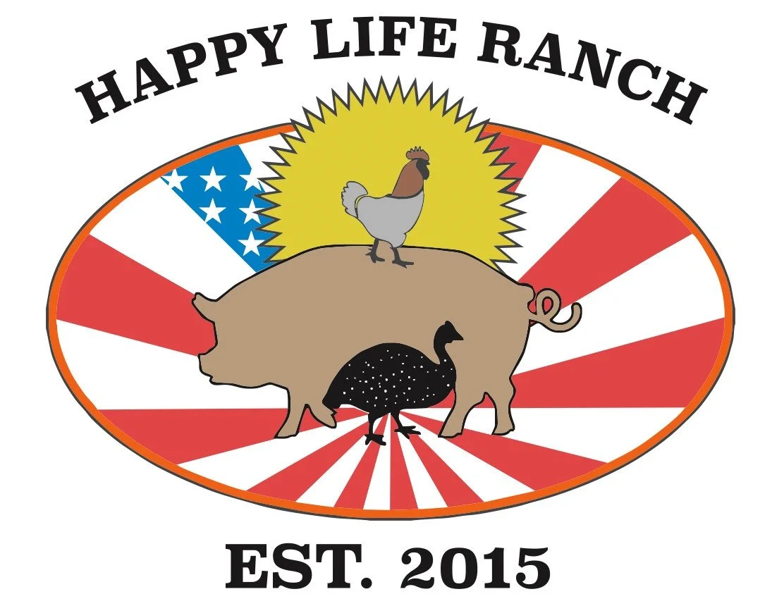 Logo of Pig Bird and Rooster on a flag background